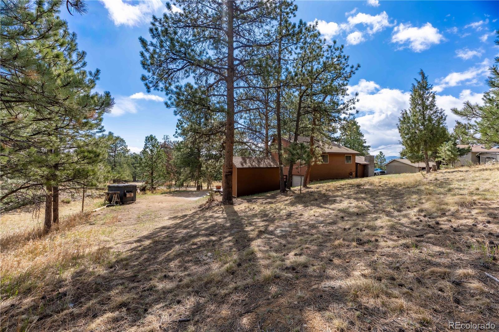 MLS Image #19 for 43  doe circle,bailey, Colorado