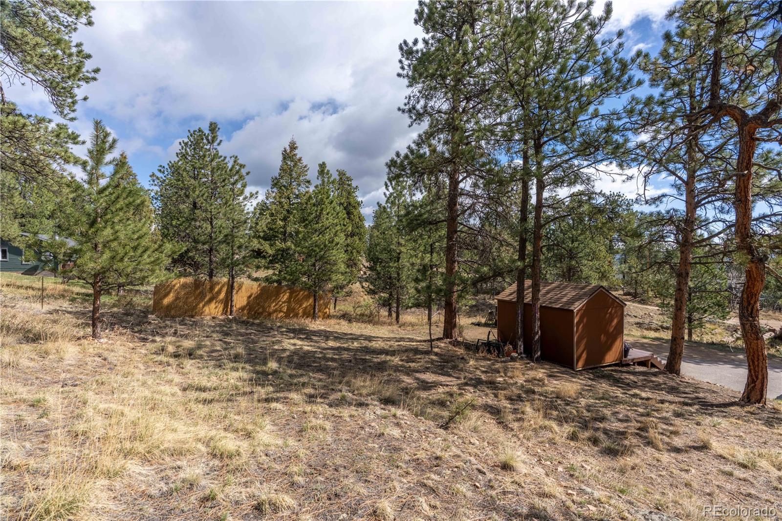 MLS Image #21 for 43  doe circle,bailey, Colorado