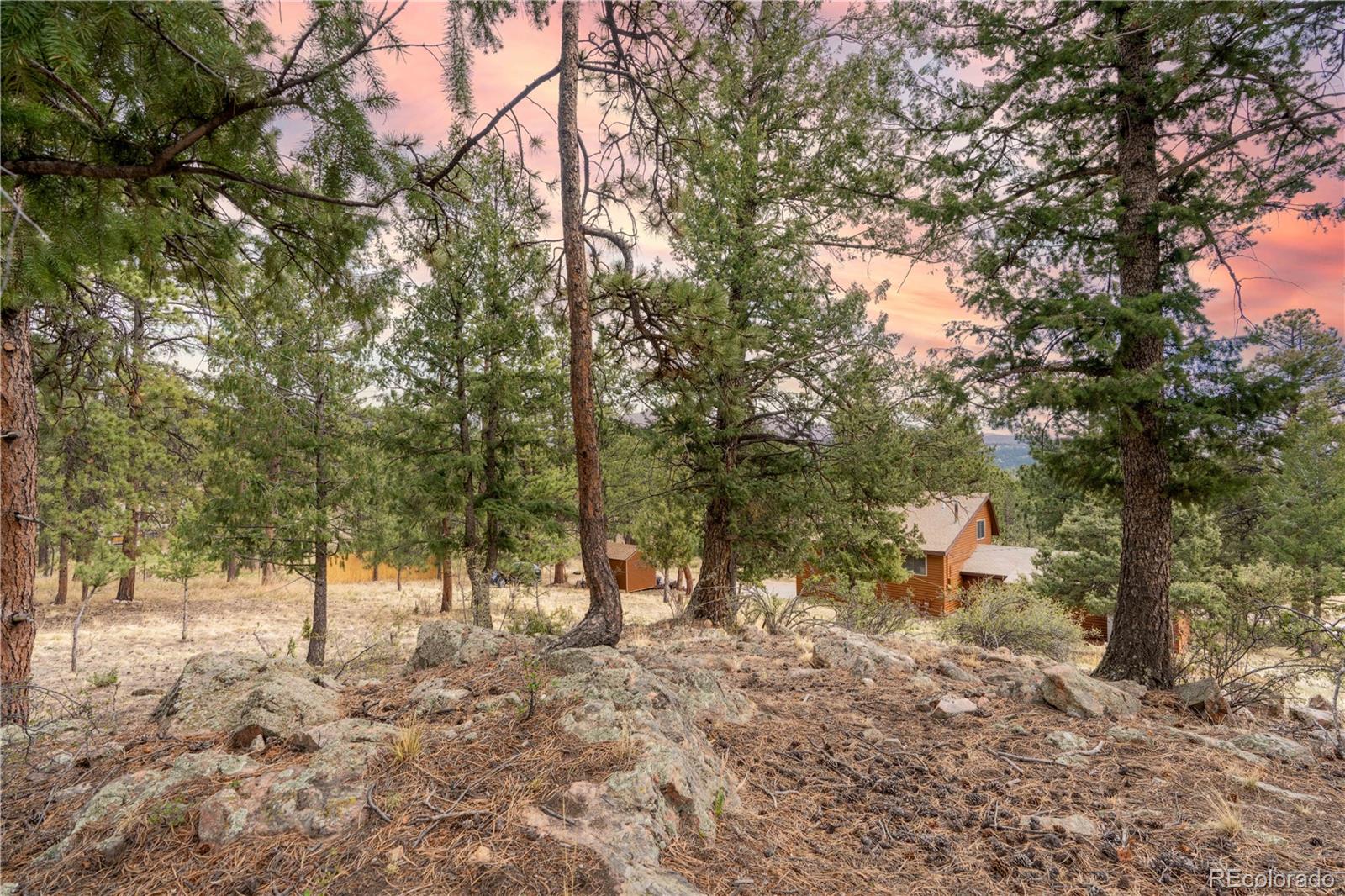 MLS Image #26 for 43  doe circle,bailey, Colorado