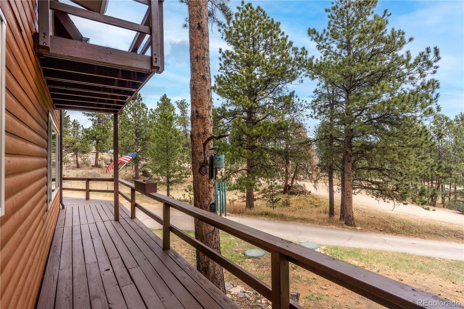 MLS Image #29 for 43  doe circle,bailey, Colorado