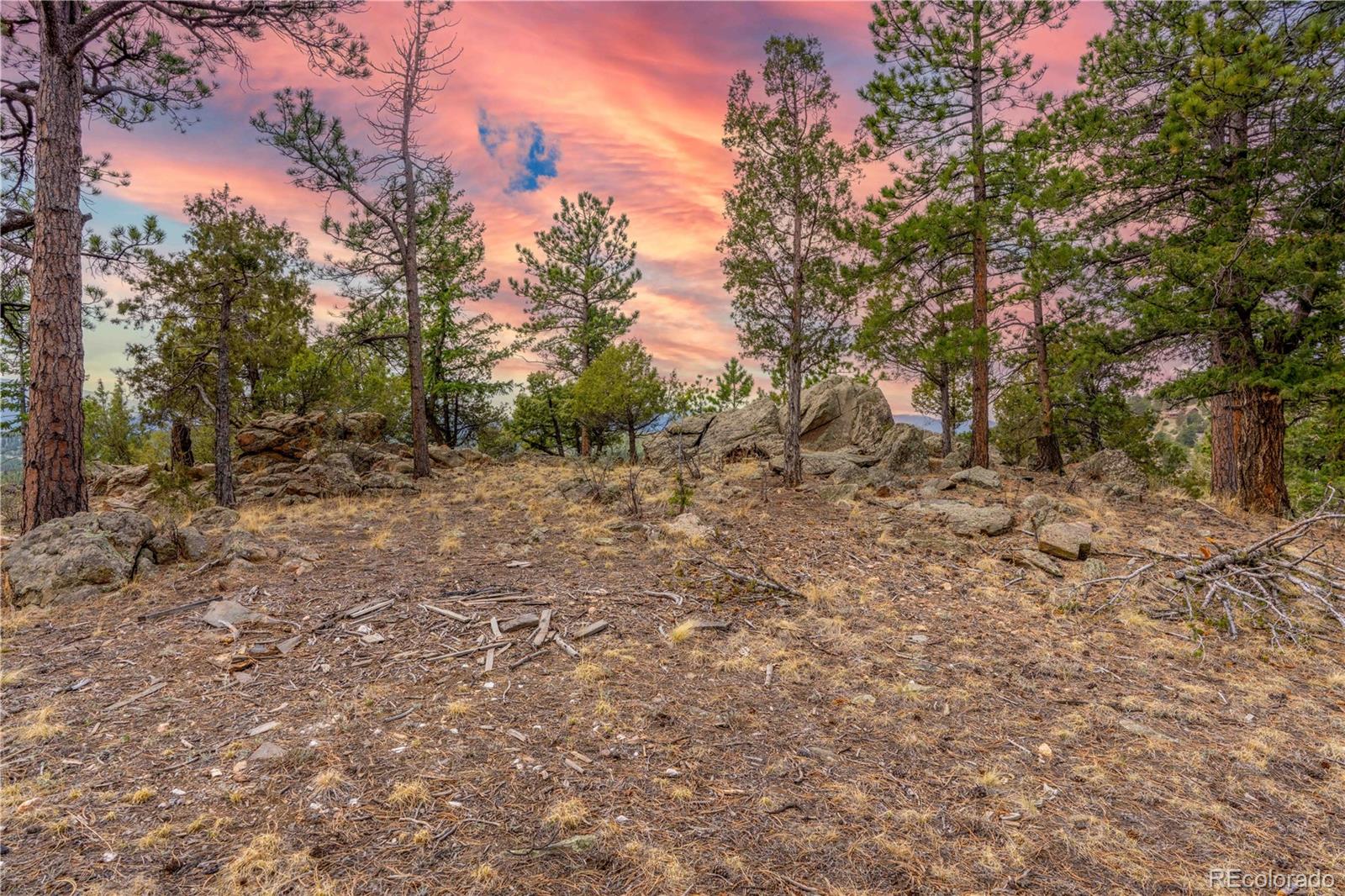 MLS Image #33 for 43  doe circle,bailey, Colorado