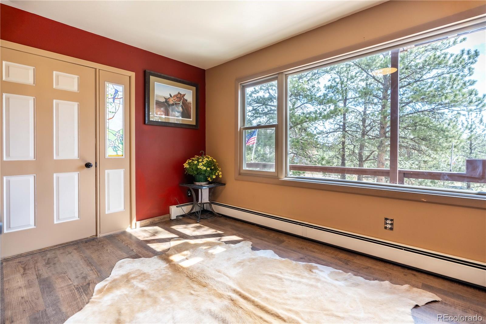MLS Image #4 for 43  doe circle,bailey, Colorado