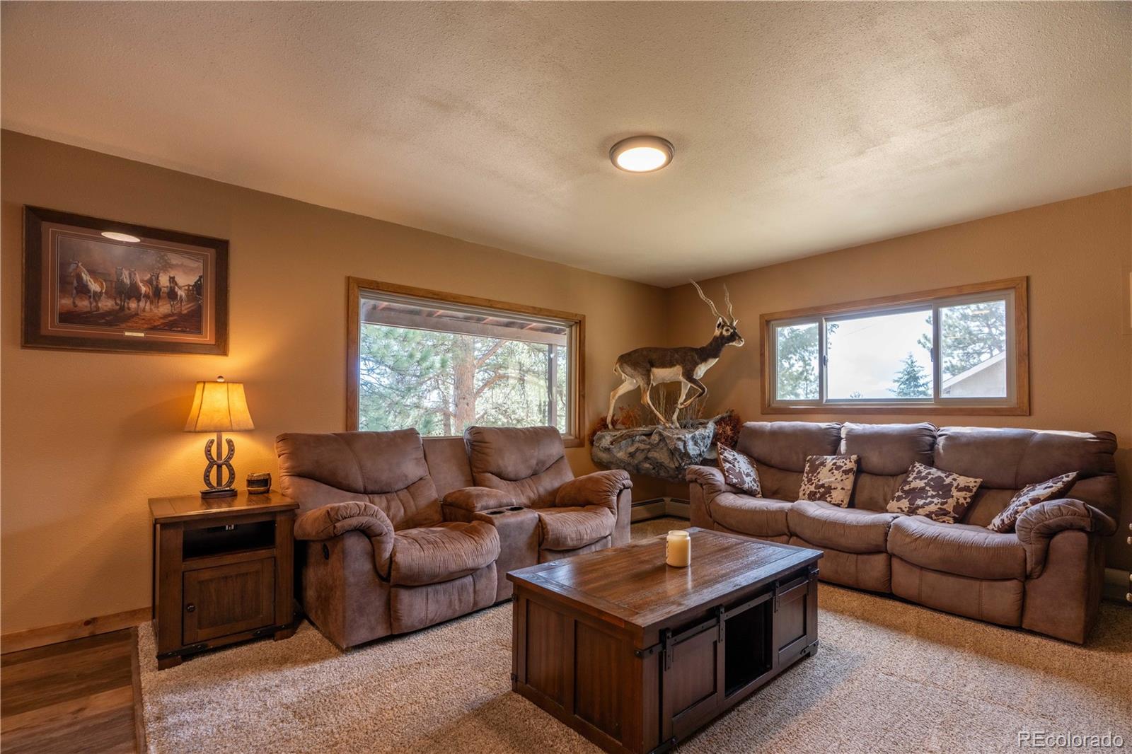 MLS Image #9 for 43  doe circle,bailey, Colorado