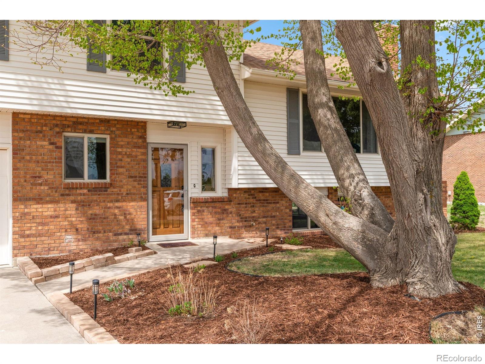 MLS Image #3 for 36127  appy road,eaton, Colorado