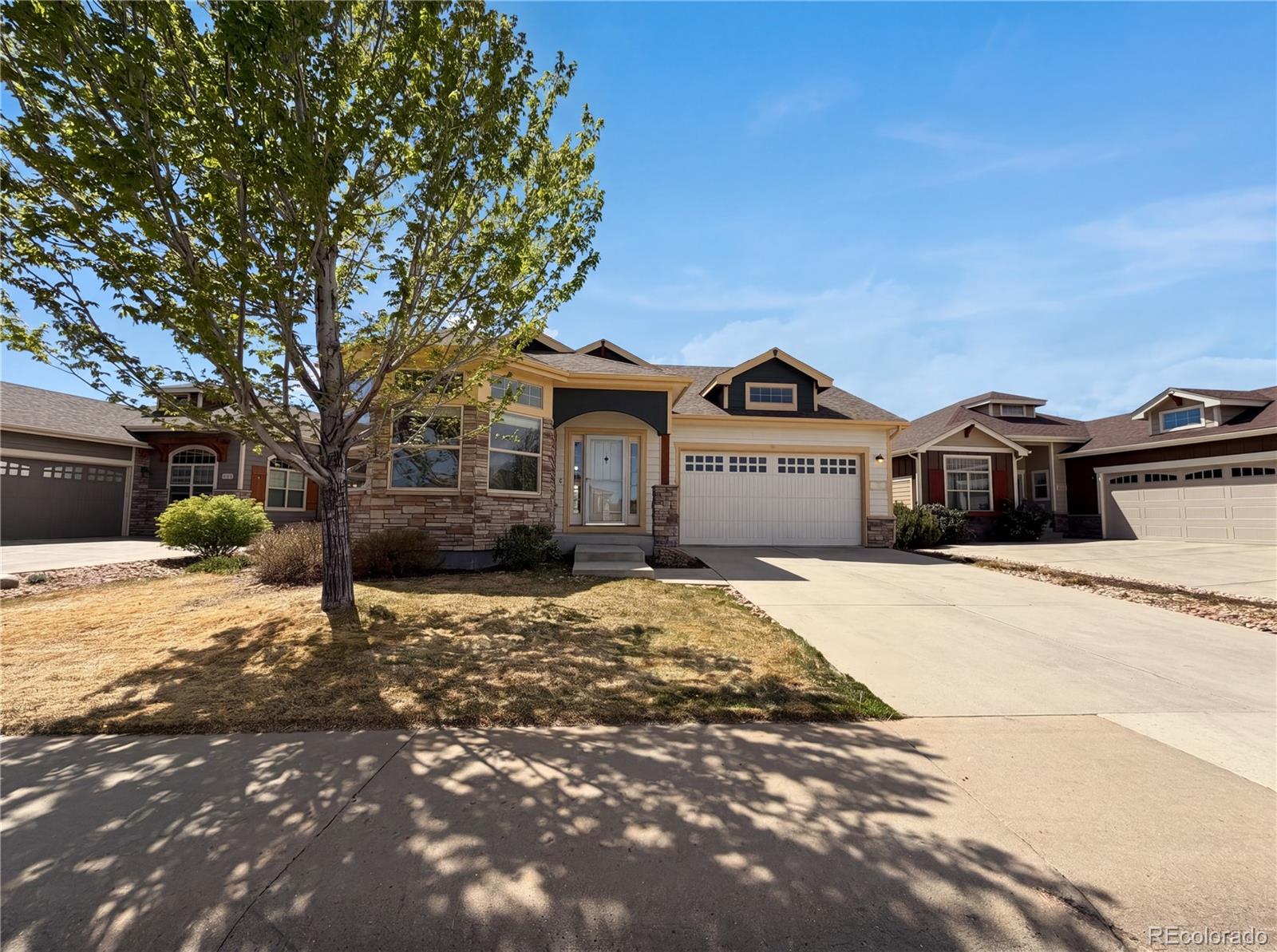 MLS Image #33 for 5135  coral burst circle,loveland, Colorado