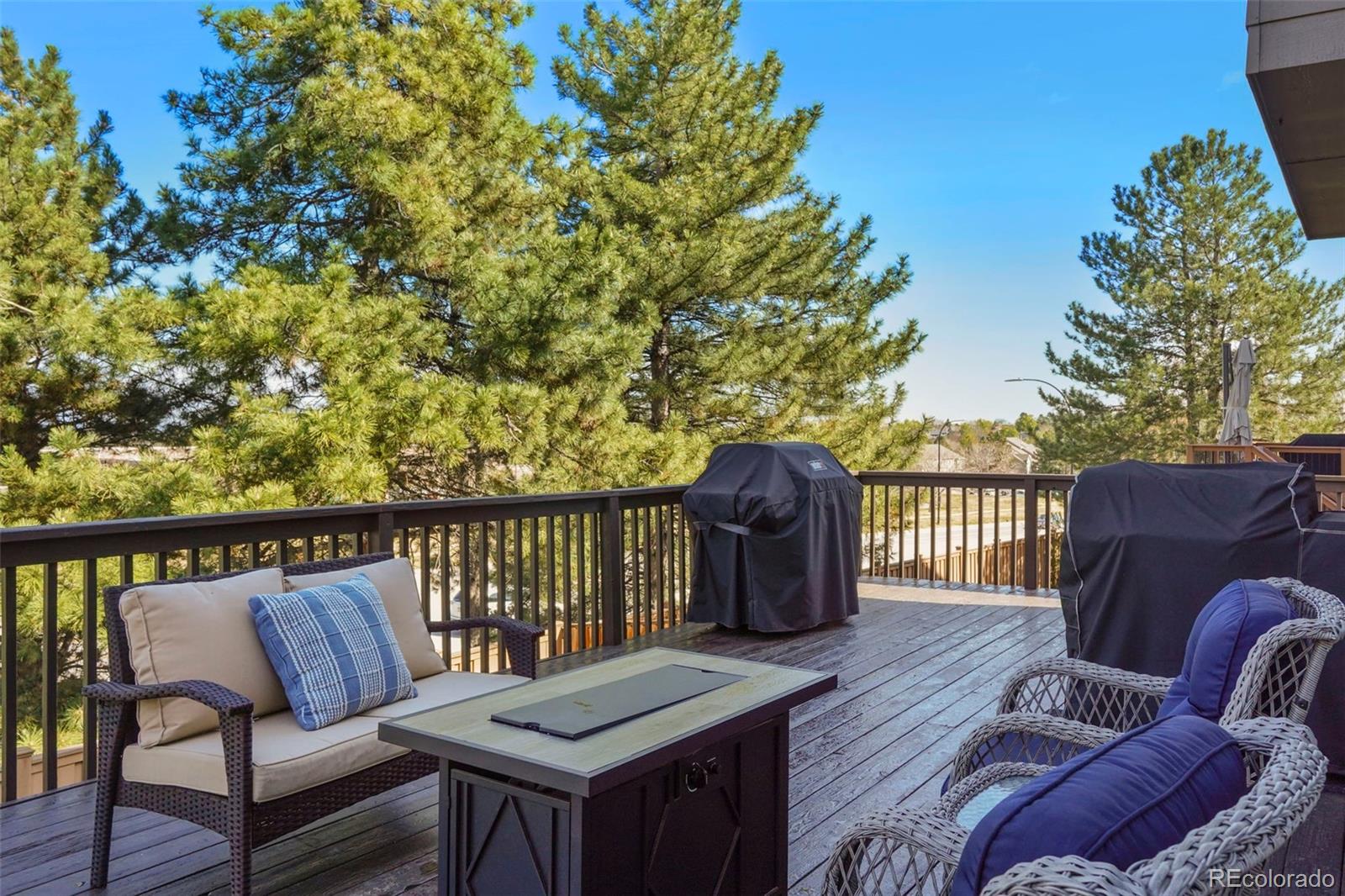 MLS Image #14 for 9701  millstone court,highlands ranch, Colorado