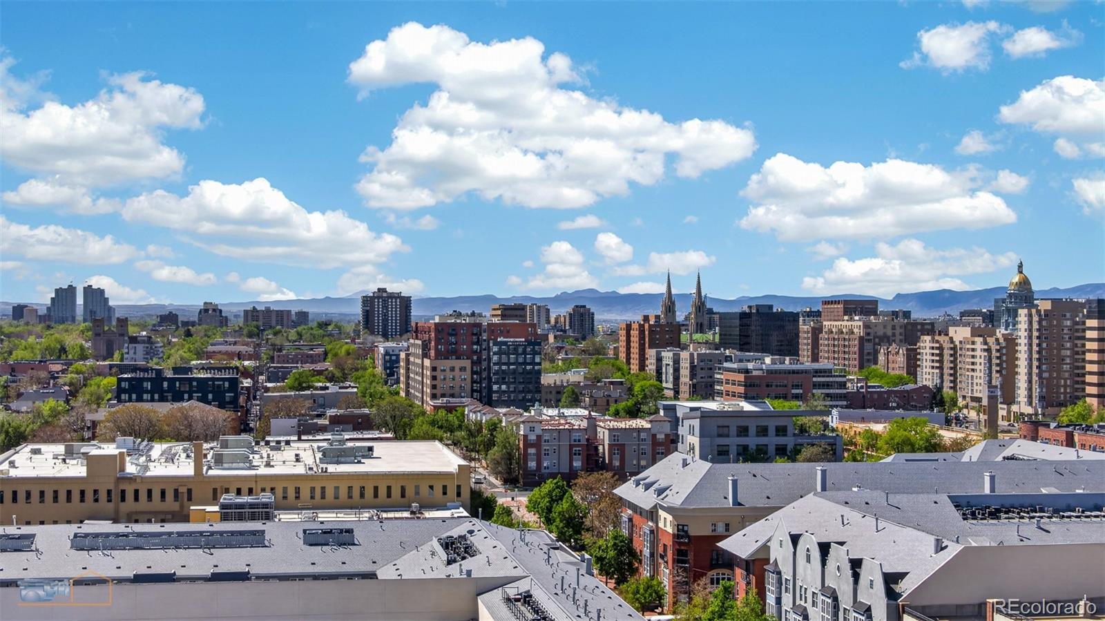 MLS Image #19 for 100  park avenue,denver, Colorado