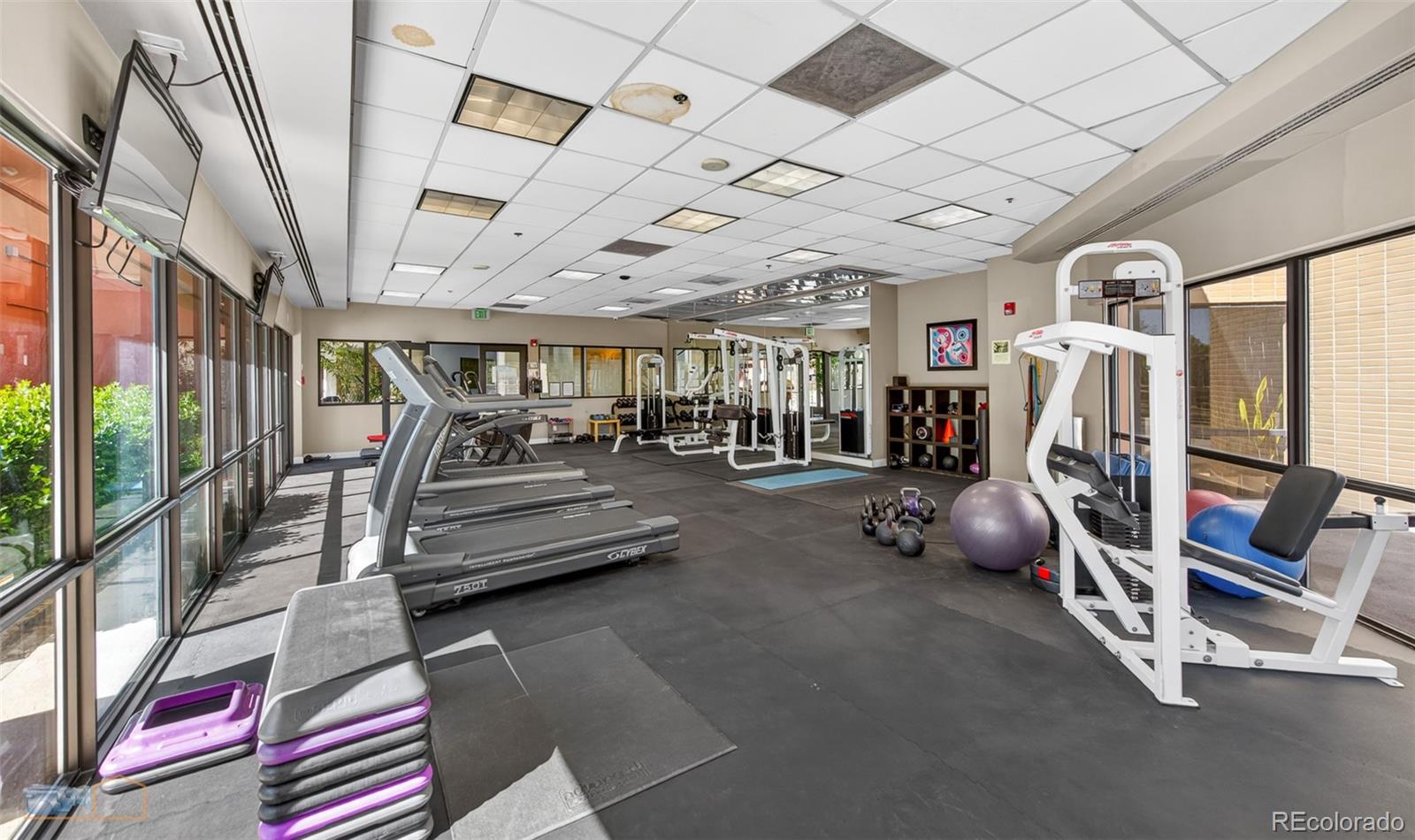 MLS Image #33 for 100  park avenue,denver, Colorado
