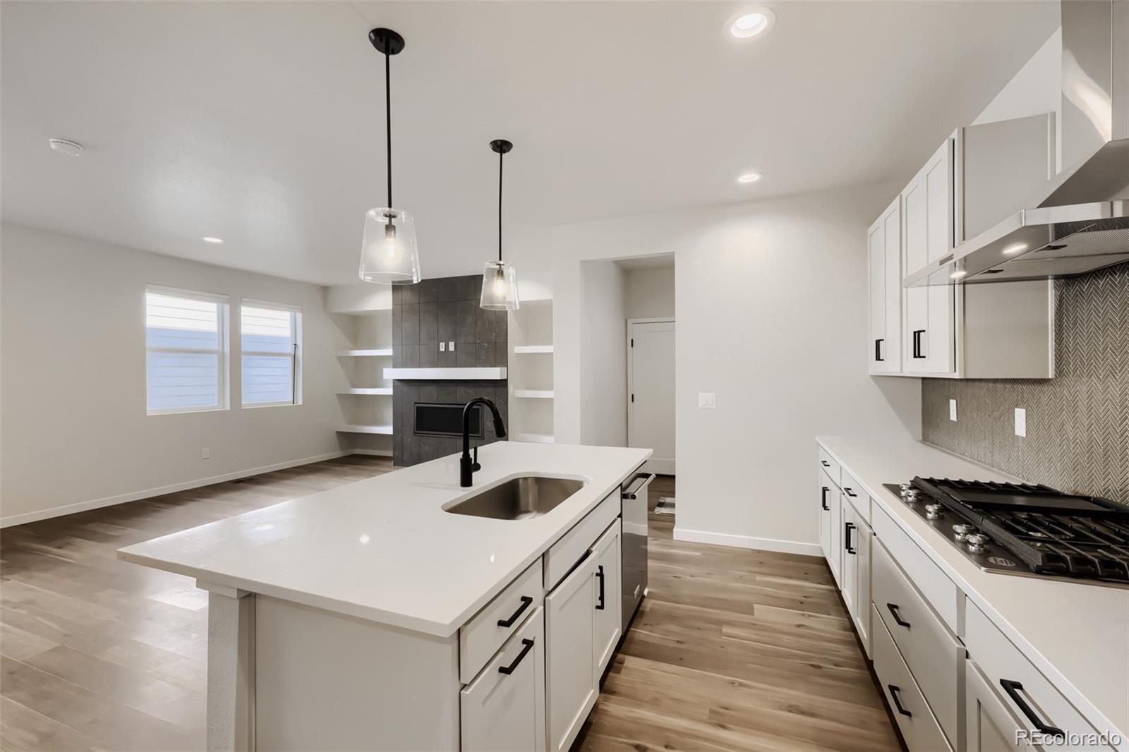 MLS Image #10 for 2691 e 102nd place,denver, Colorado