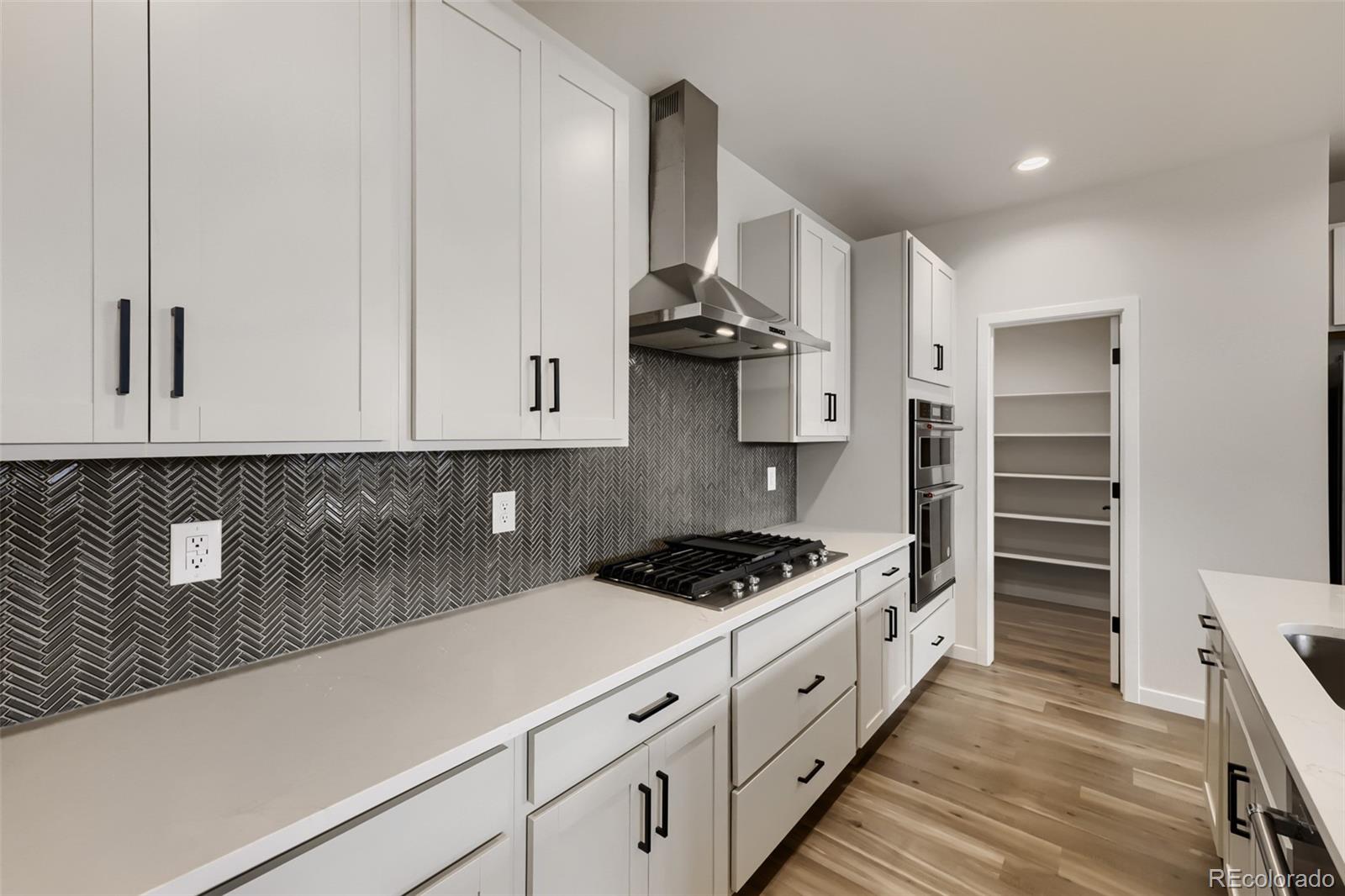 MLS Image #11 for 2691 e 102nd place,denver, Colorado