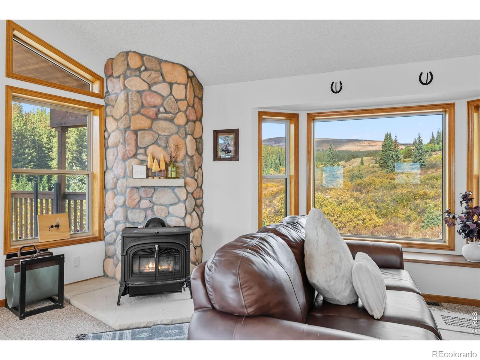 MLS Image #10 for 162 s silk sisters place,fairplay, Colorado
