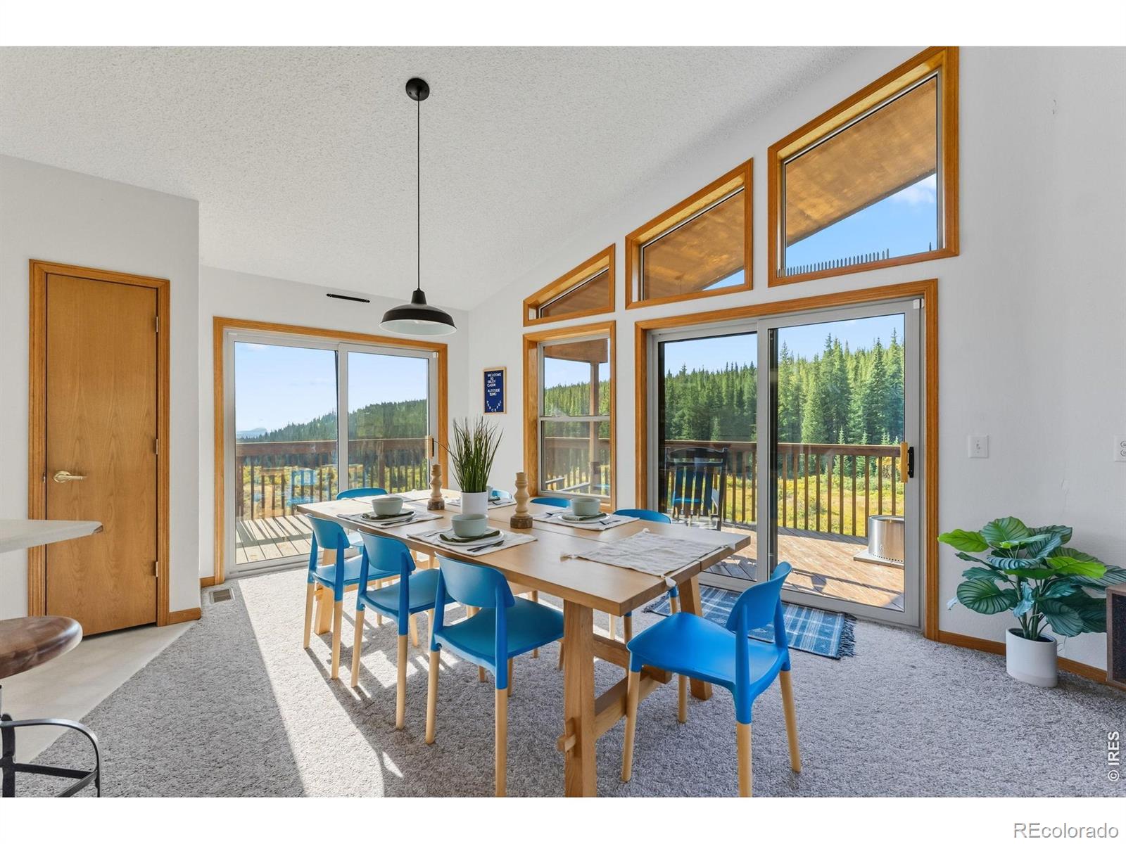 MLS Image #11 for 162 s silk sisters place,fairplay, Colorado