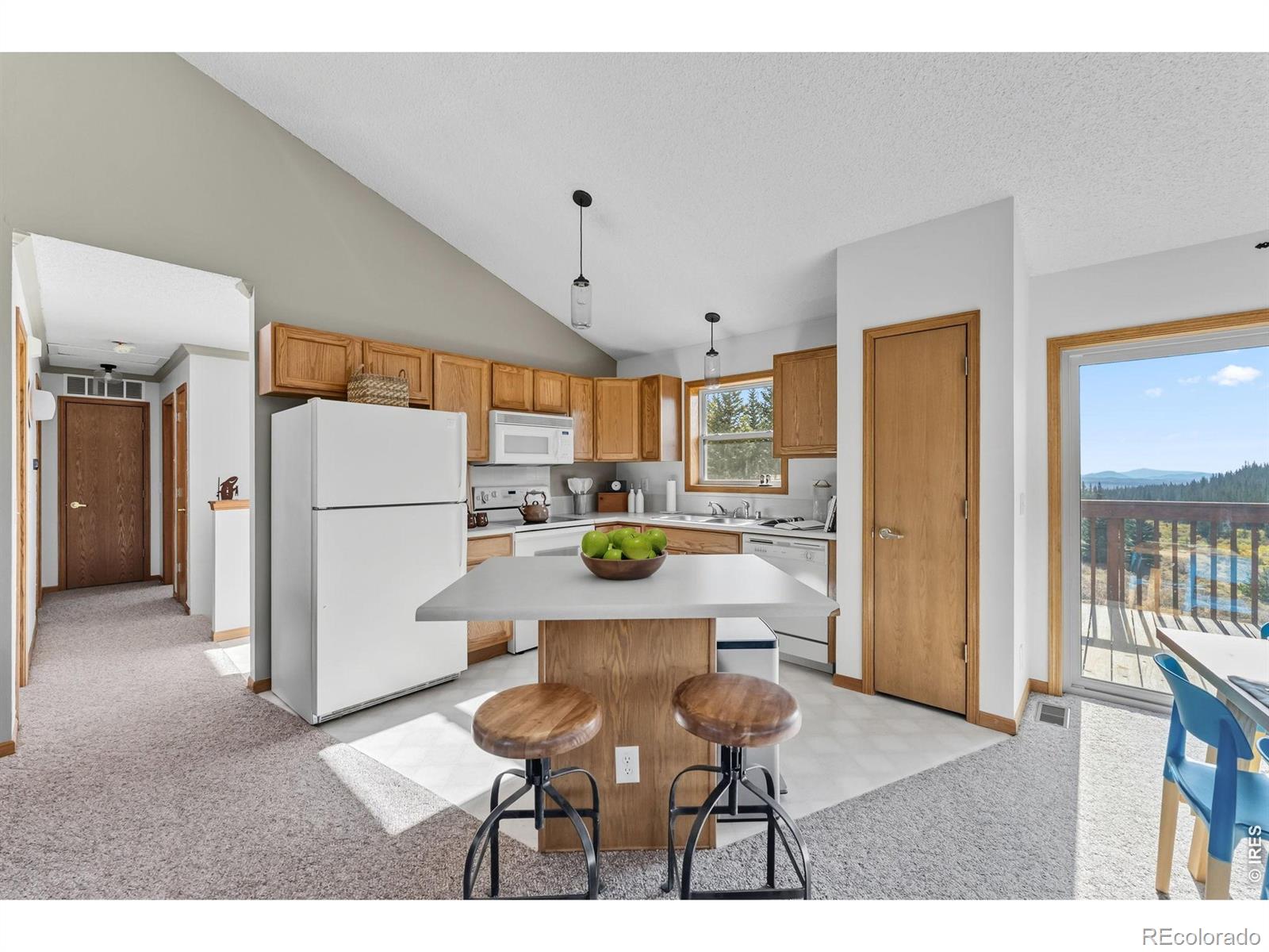 MLS Image #12 for 162 s silk sisters place,fairplay, Colorado