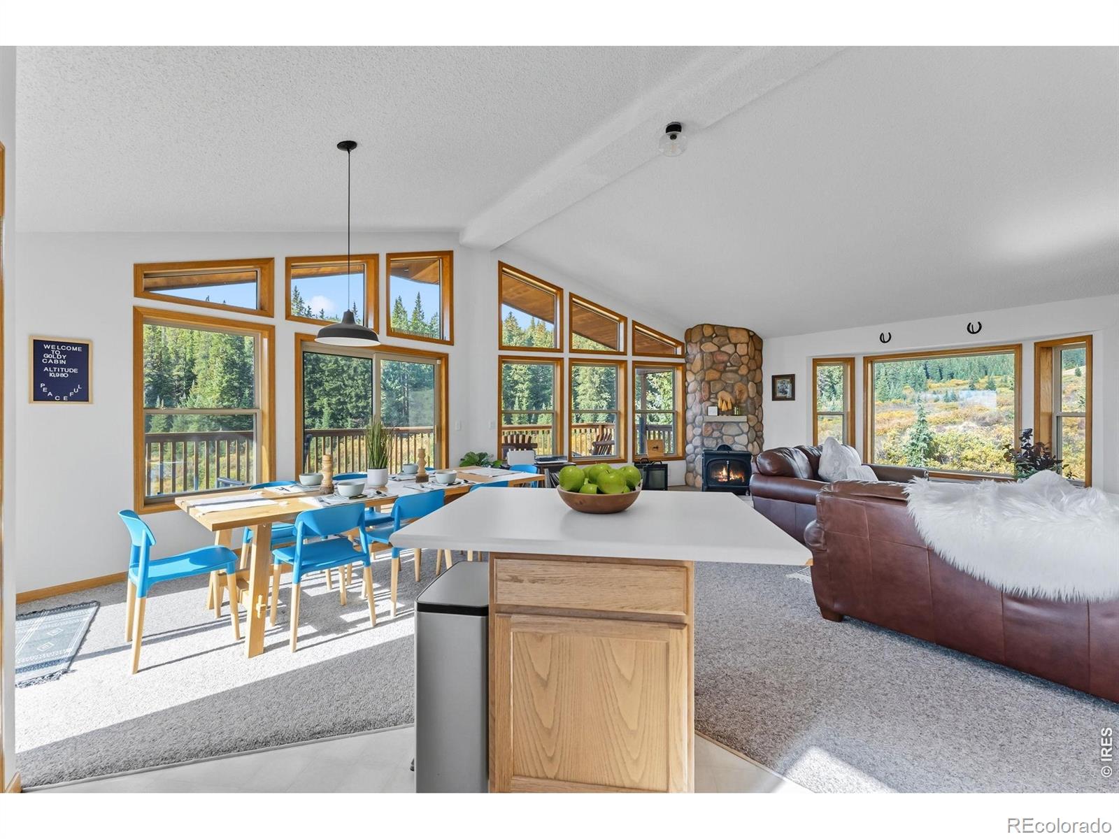 MLS Image #13 for 162 s silk sisters place,fairplay, Colorado