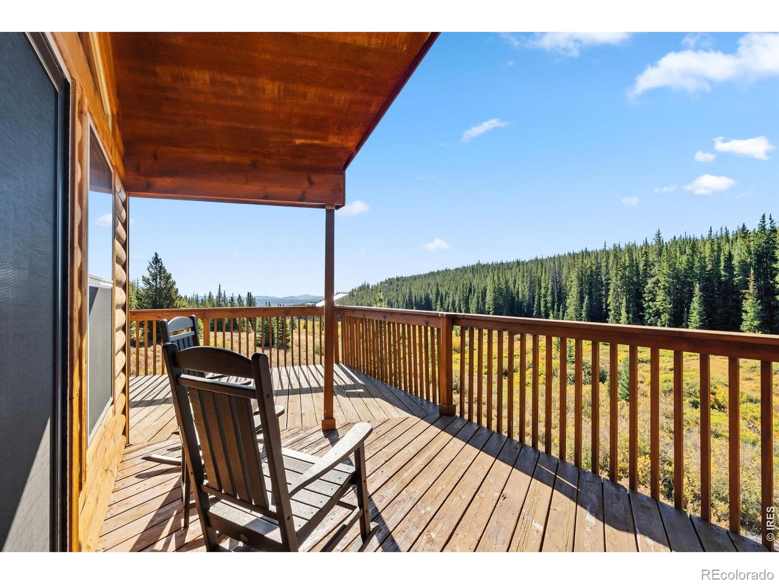 MLS Image #14 for 162 s silk sisters place,fairplay, Colorado