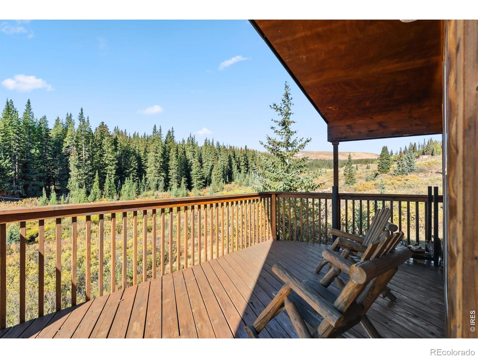 MLS Image #15 for 162 s silk sisters place,fairplay, Colorado