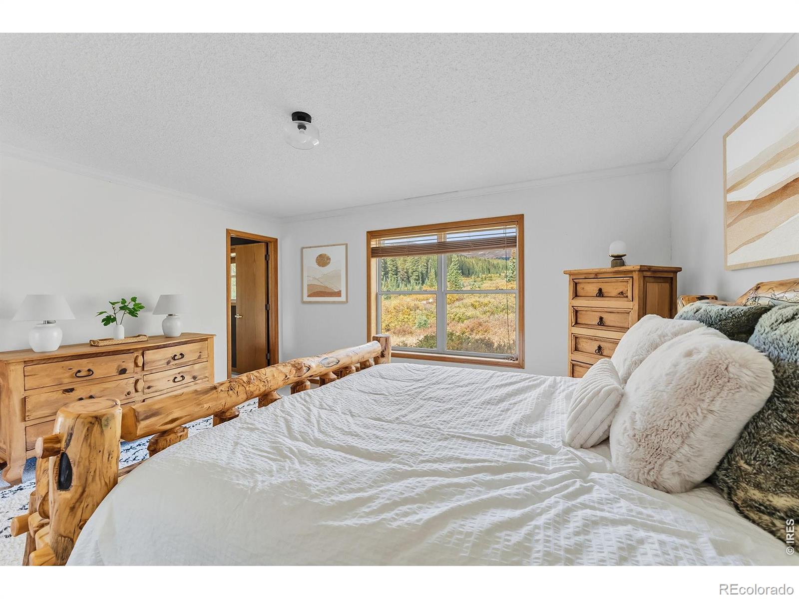 MLS Image #17 for 162 s silk sisters place,fairplay, Colorado