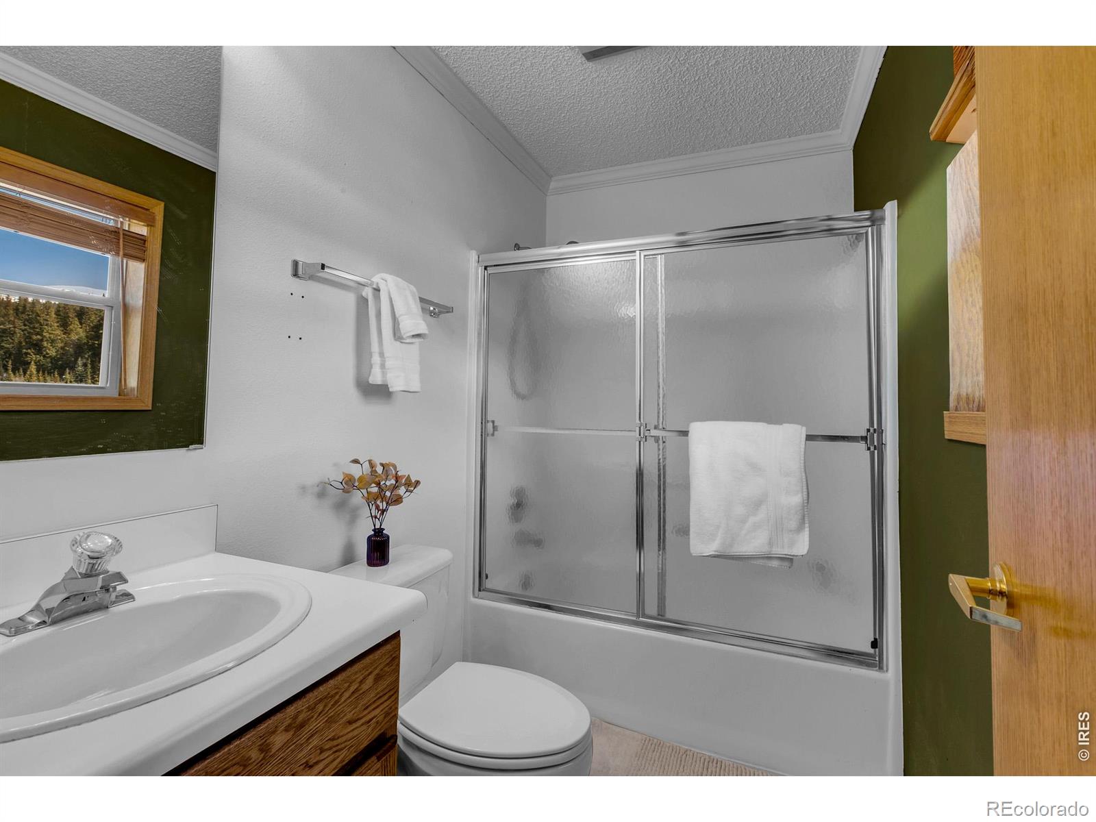 MLS Image #18 for 162 s silk sisters place,fairplay, Colorado