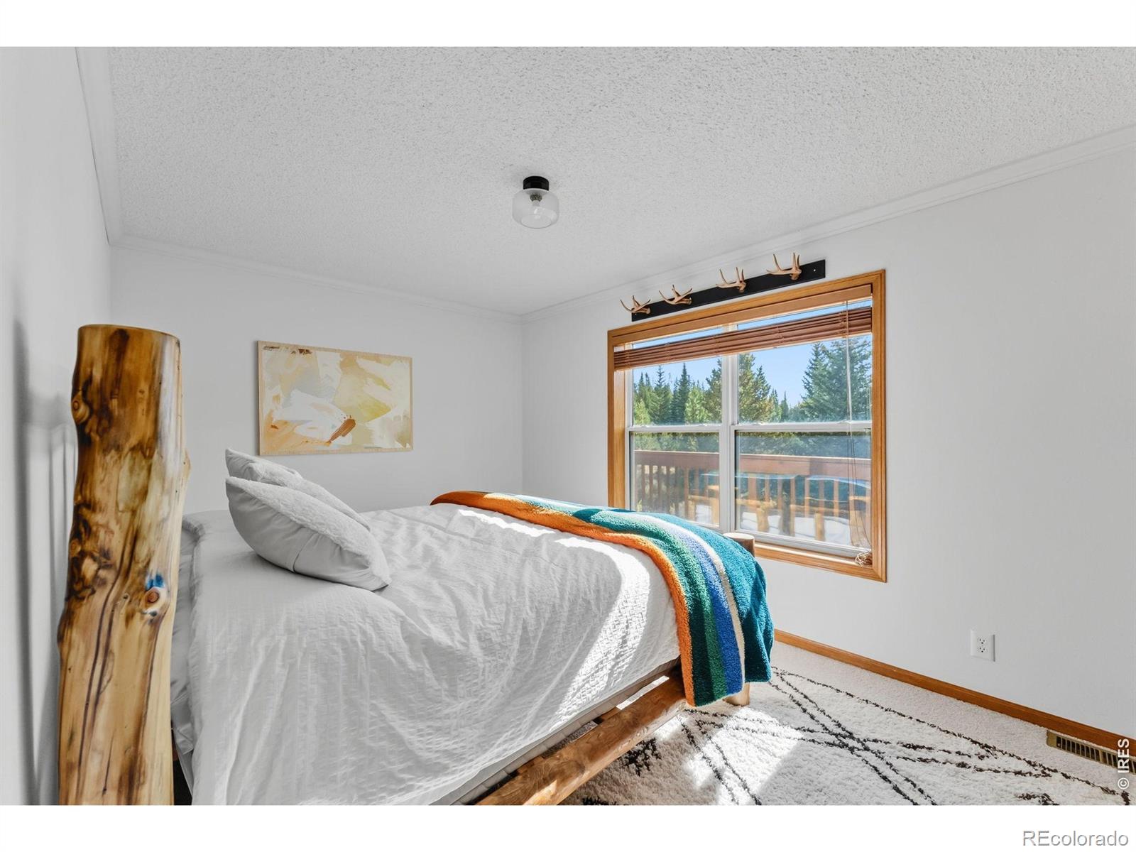 MLS Image #19 for 162 s silk sisters place,fairplay, Colorado
