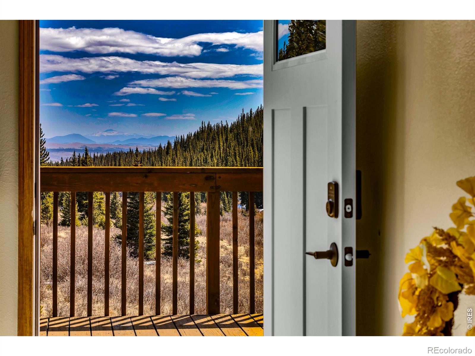 MLS Image #2 for 162 s silk sisters place,fairplay, Colorado