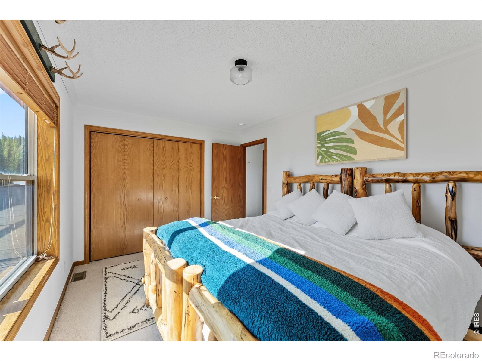 MLS Image #20 for 162 s silk sisters place,fairplay, Colorado