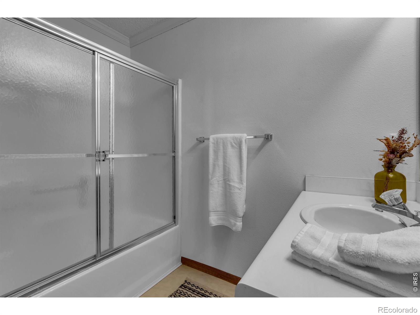 MLS Image #21 for 162 s silk sisters place,fairplay, Colorado