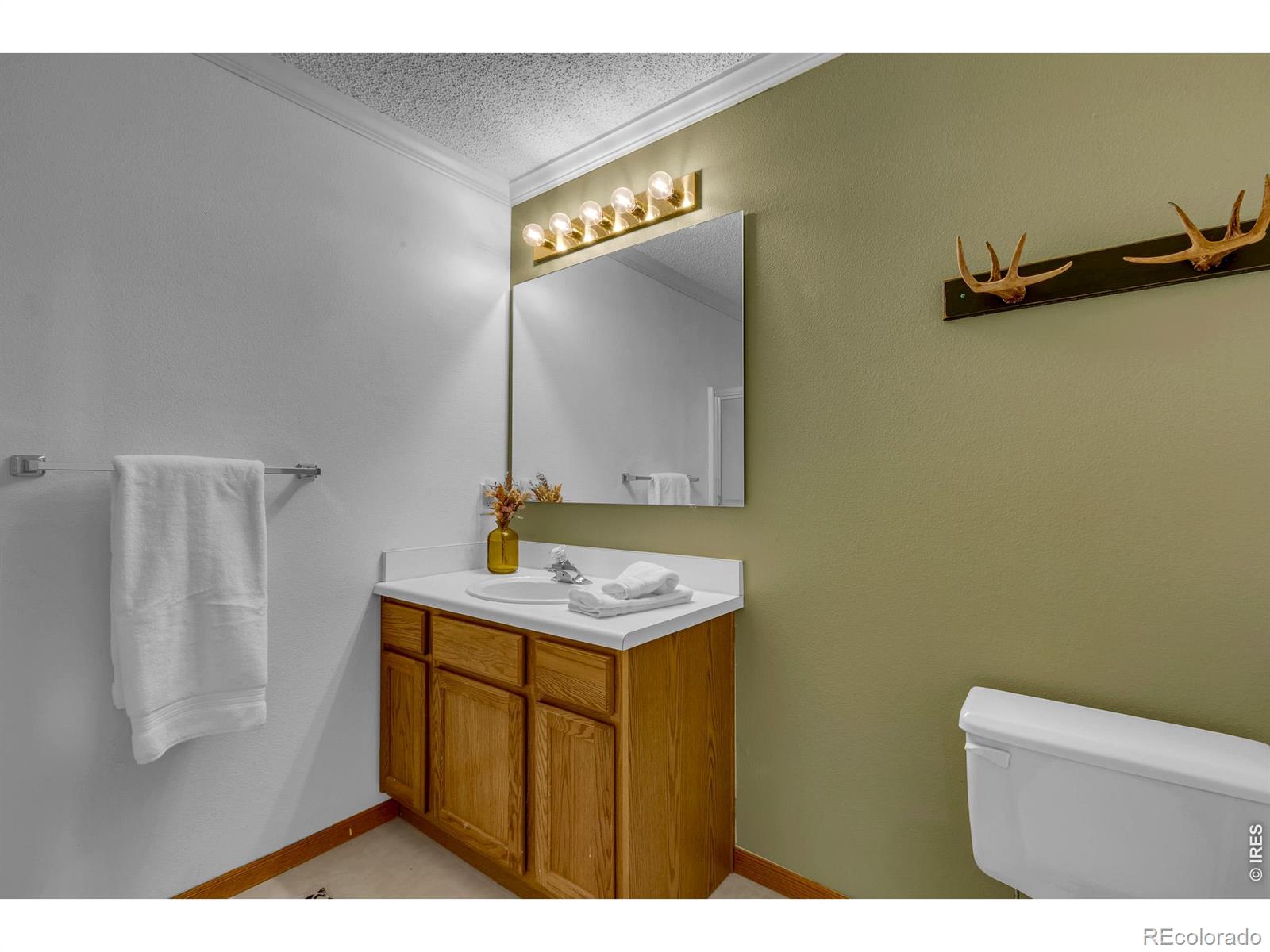 MLS Image #22 for 162 s silk sisters place,fairplay, Colorado