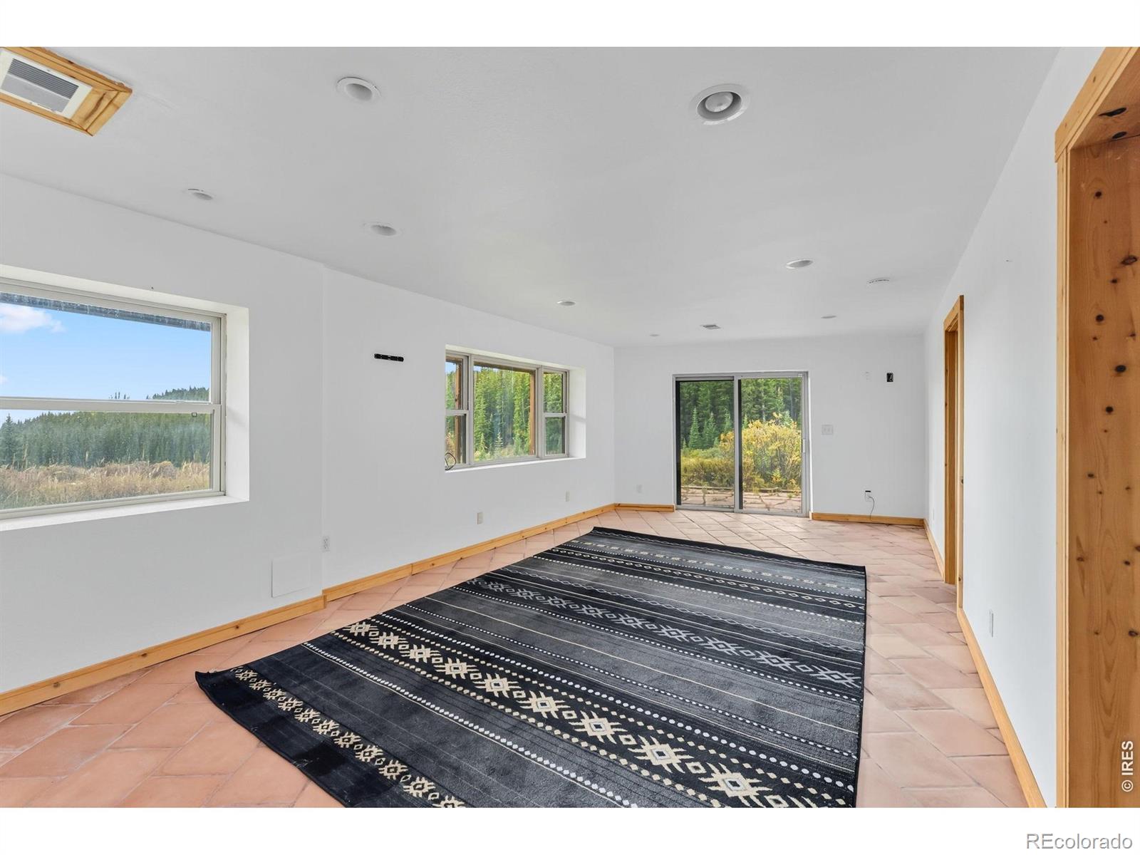 MLS Image #25 for 162 s silk sisters place,fairplay, Colorado