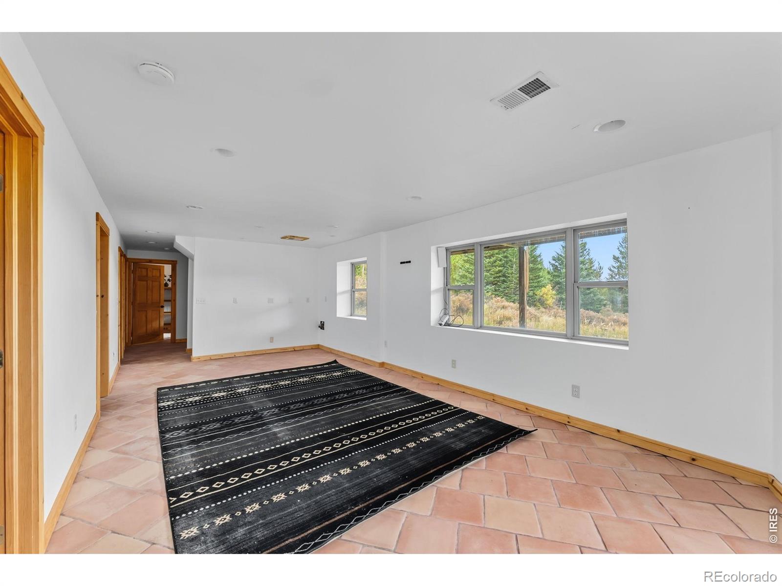 MLS Image #26 for 162 s silk sisters place,fairplay, Colorado