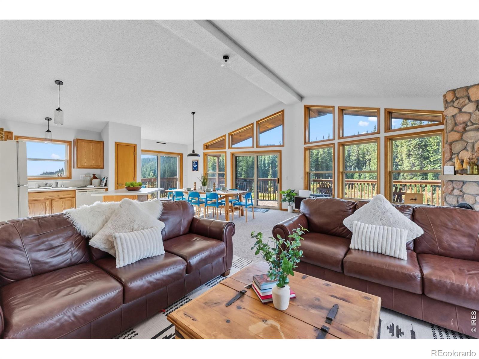 MLS Image #3 for 162 s silk sisters place,fairplay, Colorado
