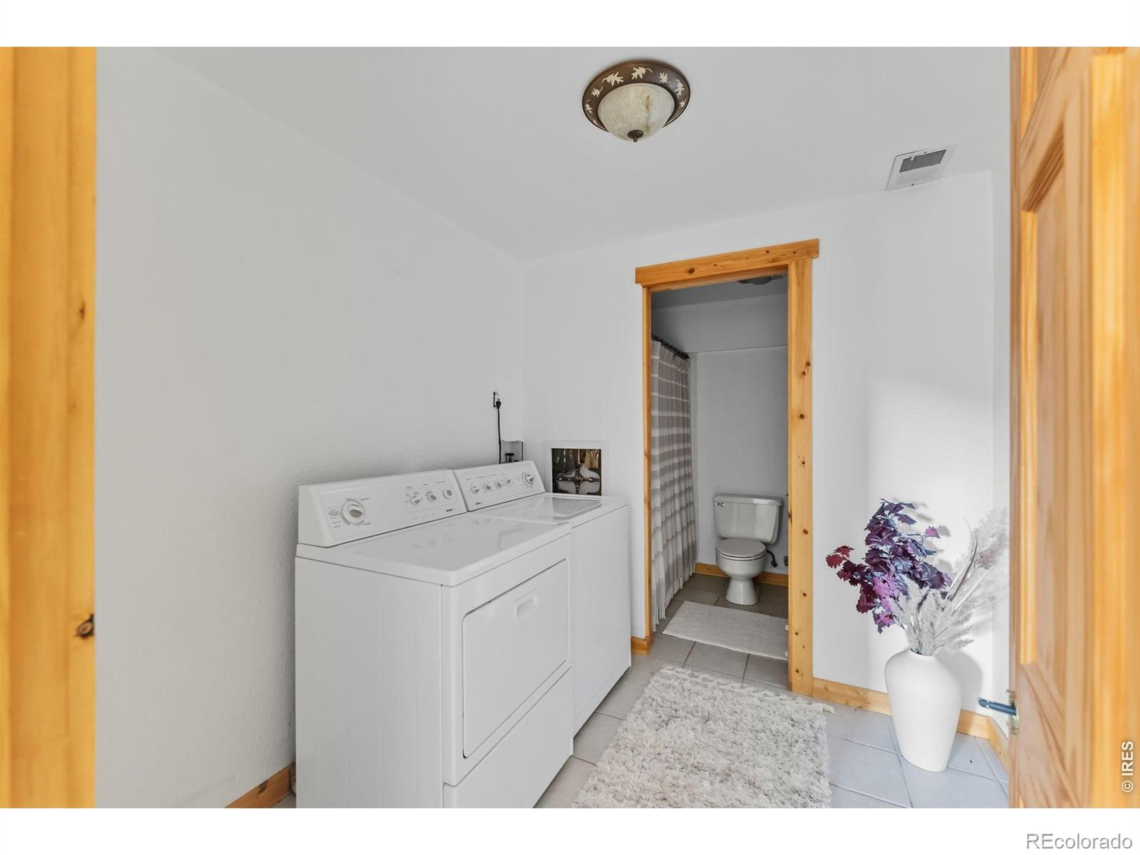 MLS Image #30 for 162 s silk sisters place,fairplay, Colorado