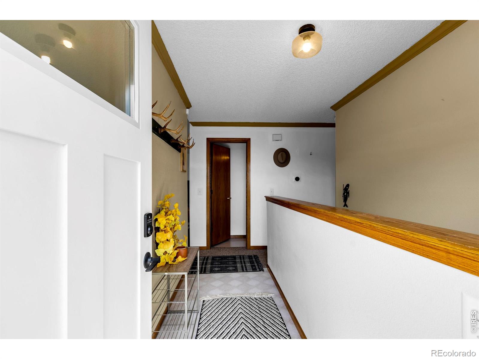 MLS Image #34 for 162 s silk sisters place,fairplay, Colorado