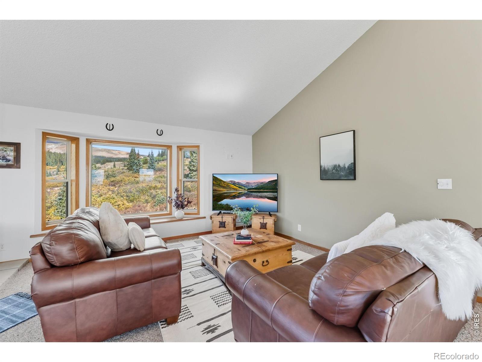 MLS Image #36 for 162 s silk sisters place,fairplay, Colorado
