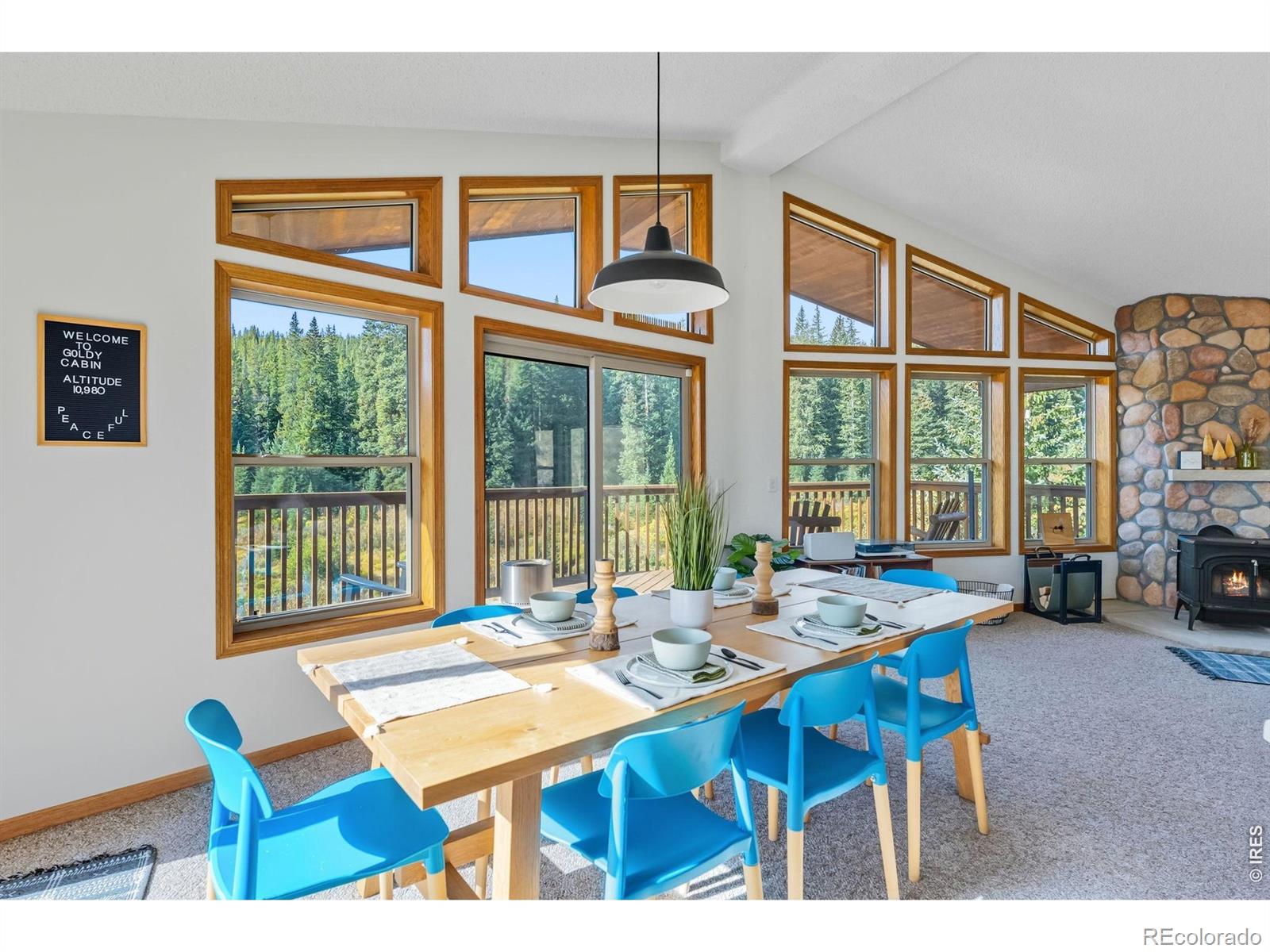 MLS Image #4 for 162 s silk sisters place,fairplay, Colorado