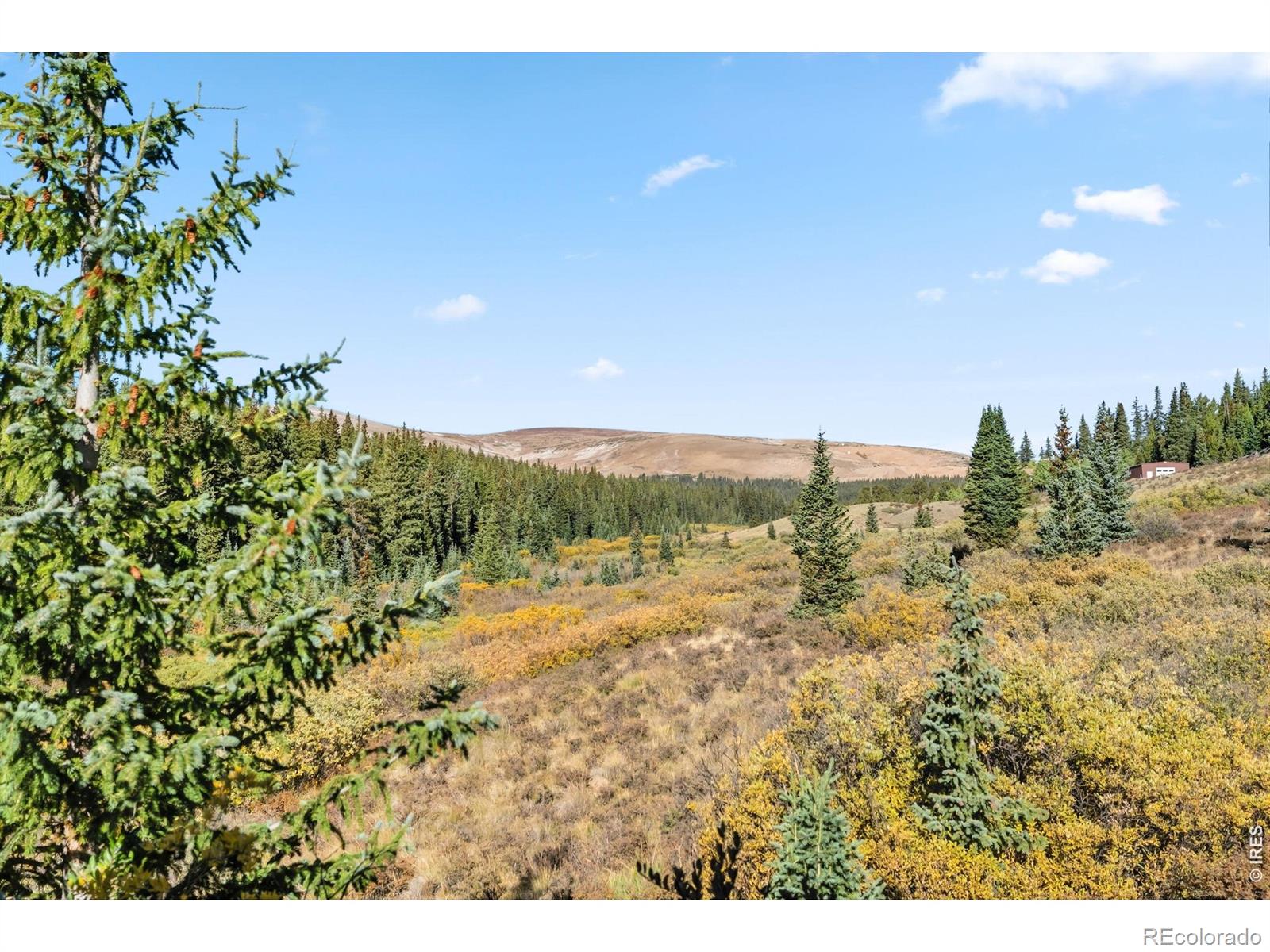 MLS Image #41 for 162 s silk sisters place,fairplay, Colorado