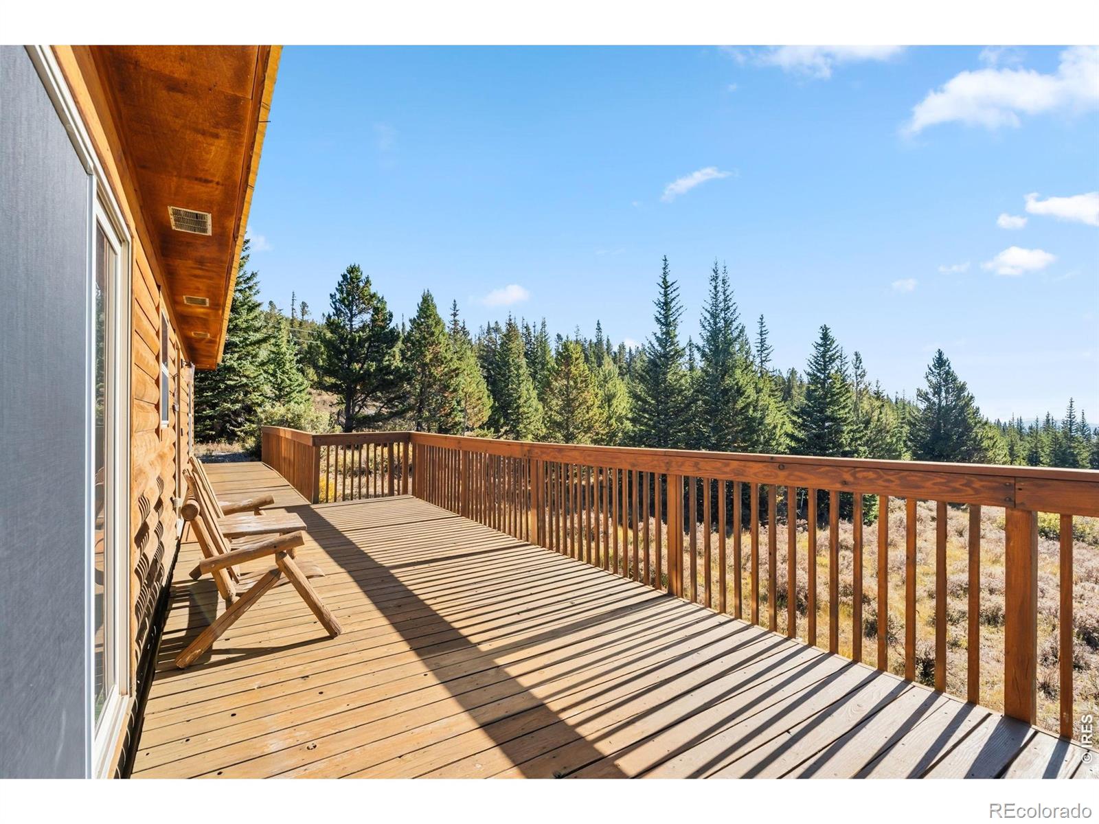 MLS Image #42 for 162 s silk sisters place,fairplay, Colorado