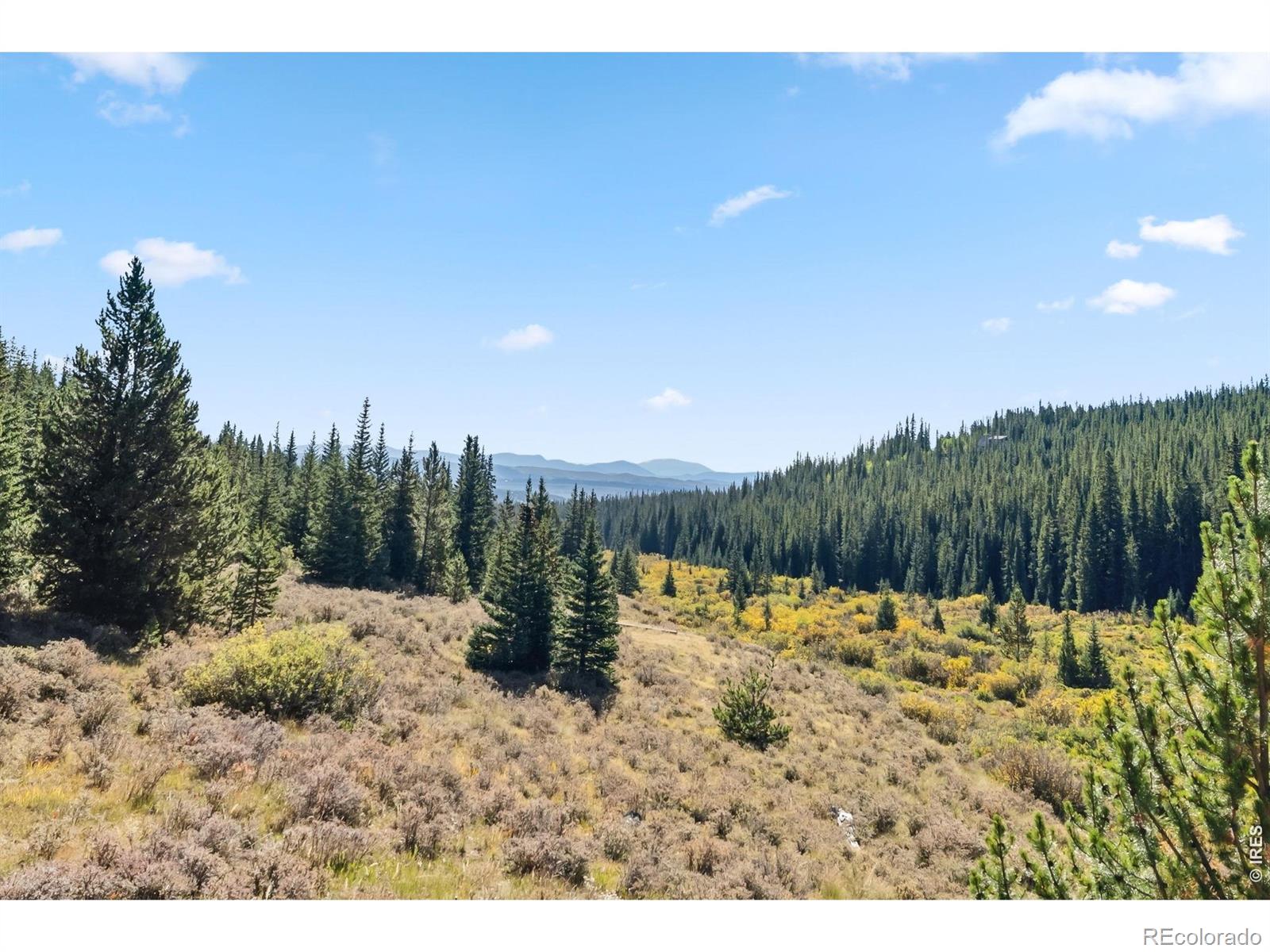 MLS Image #43 for 162 s silk sisters place,fairplay, Colorado