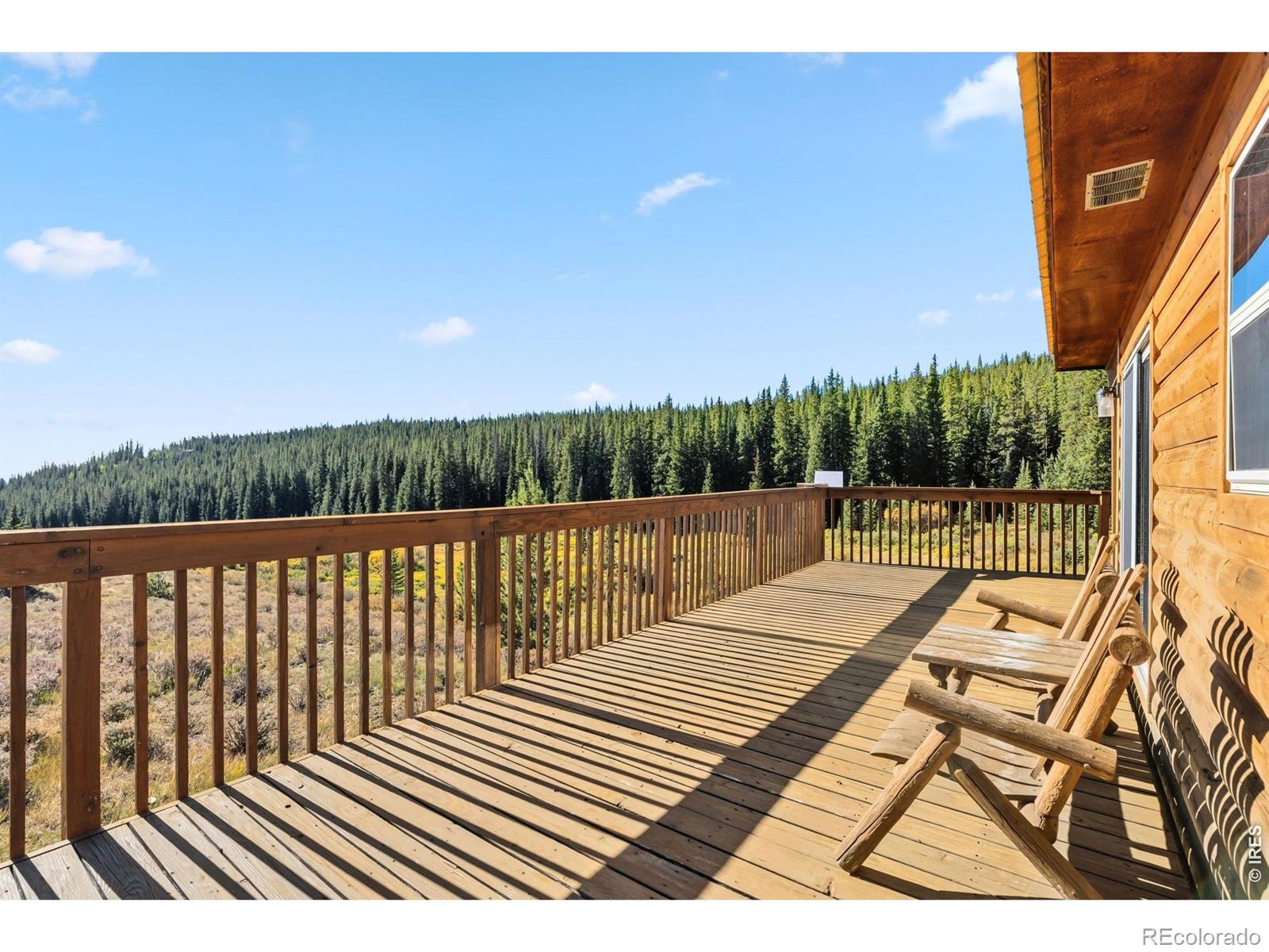 MLS Image #44 for 162 s silk sisters place,fairplay, Colorado