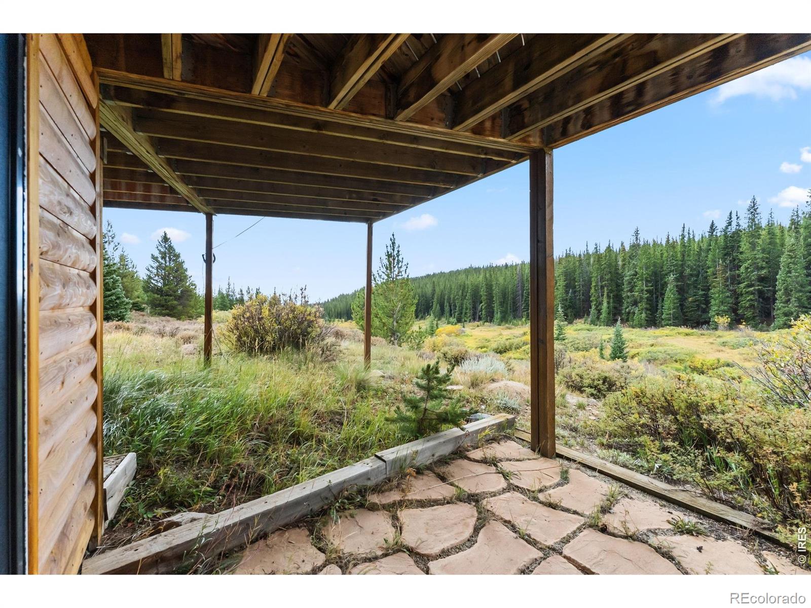 MLS Image #45 for 162 s silk sisters place,fairplay, Colorado