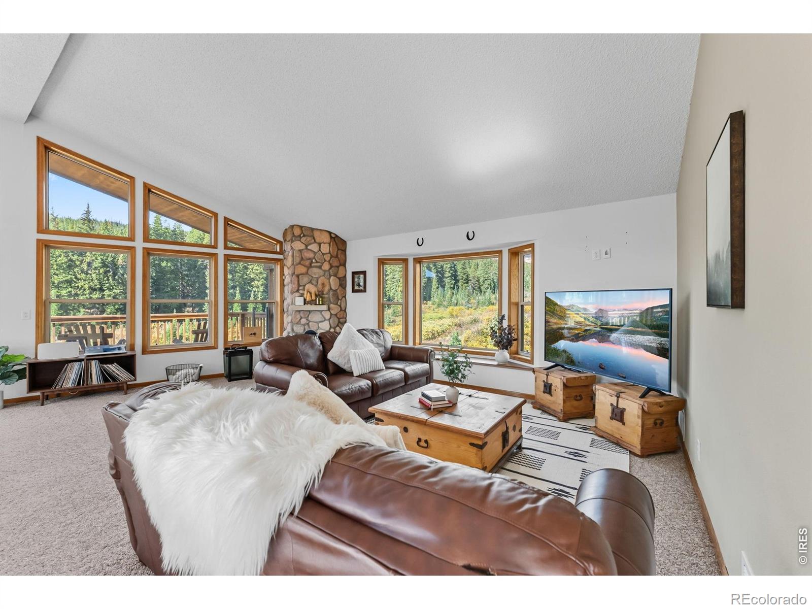 MLS Image #5 for 162 s silk sisters place,fairplay, Colorado