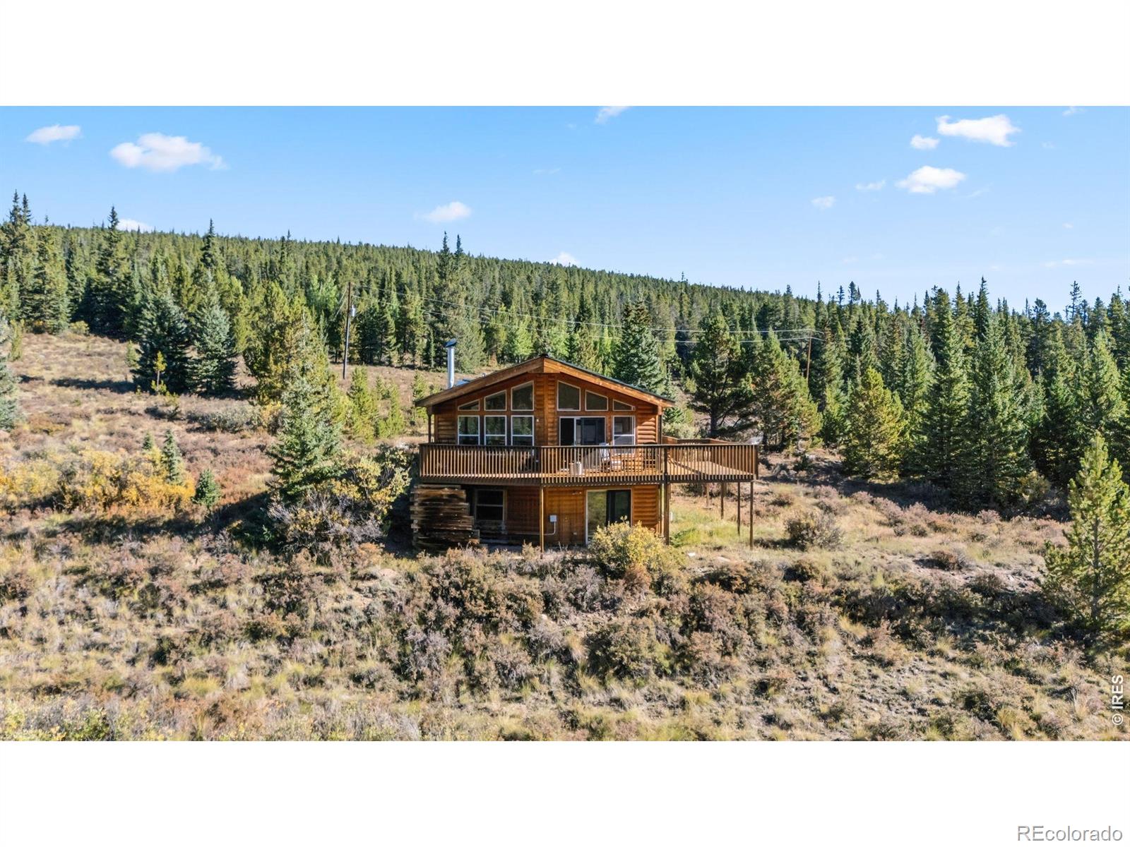 MLS Image #7 for 162 s silk sisters place,fairplay, Colorado
