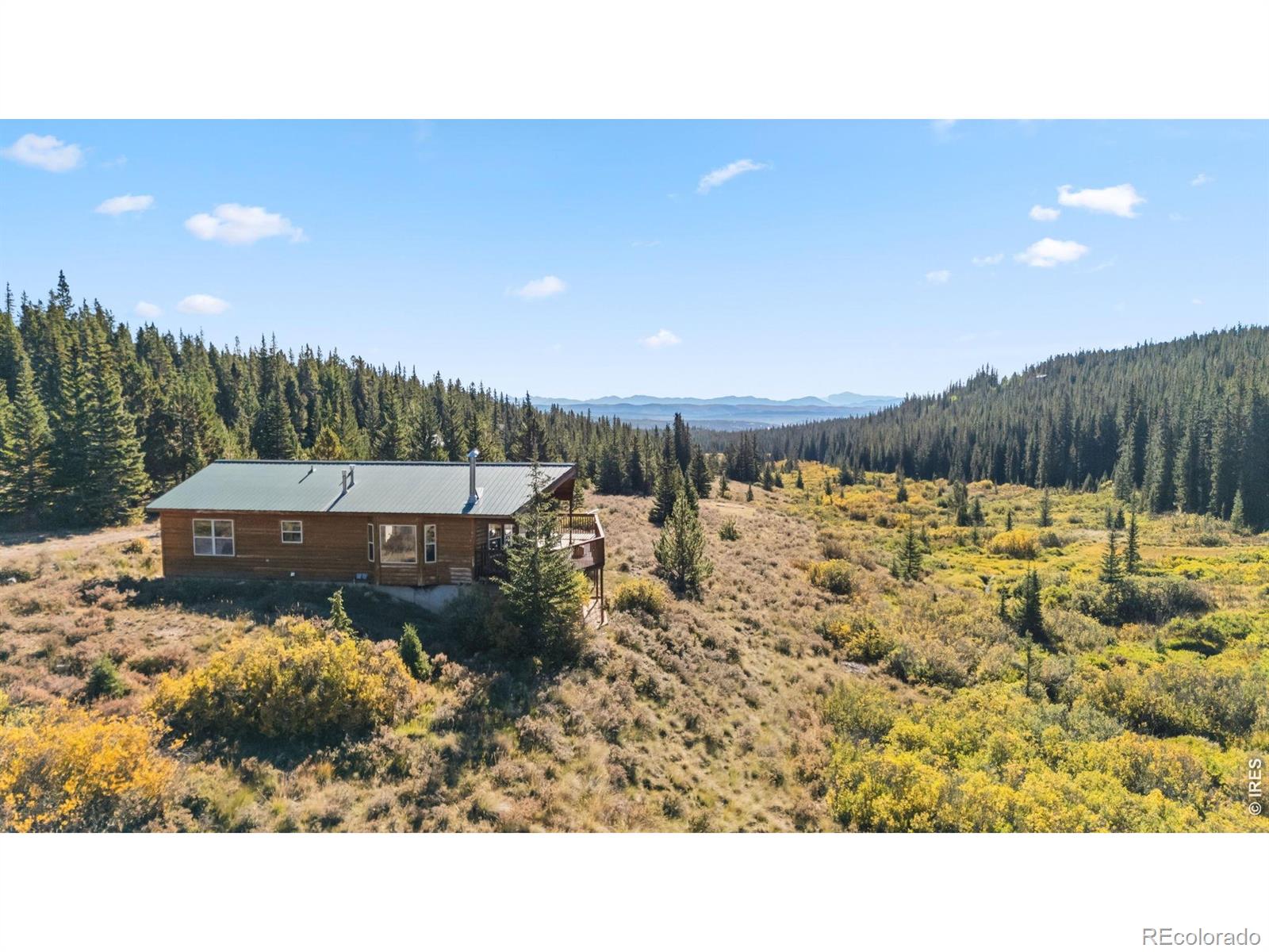 MLS Image #8 for 162 s silk sisters place,fairplay, Colorado