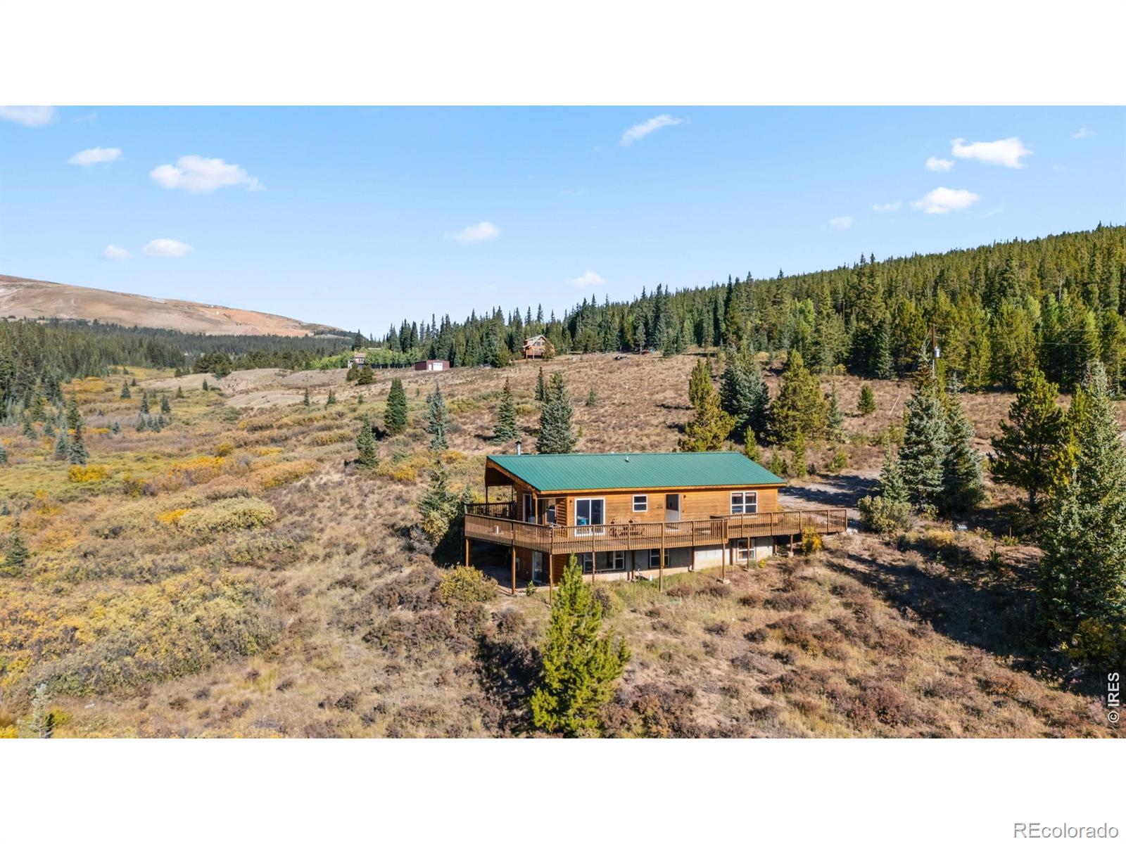 MLS Image #9 for 162 s silk sisters place,fairplay, Colorado