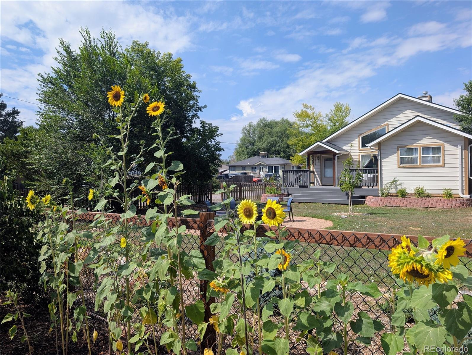 MLS Image #1 for 221  jay street,lakewood, Colorado