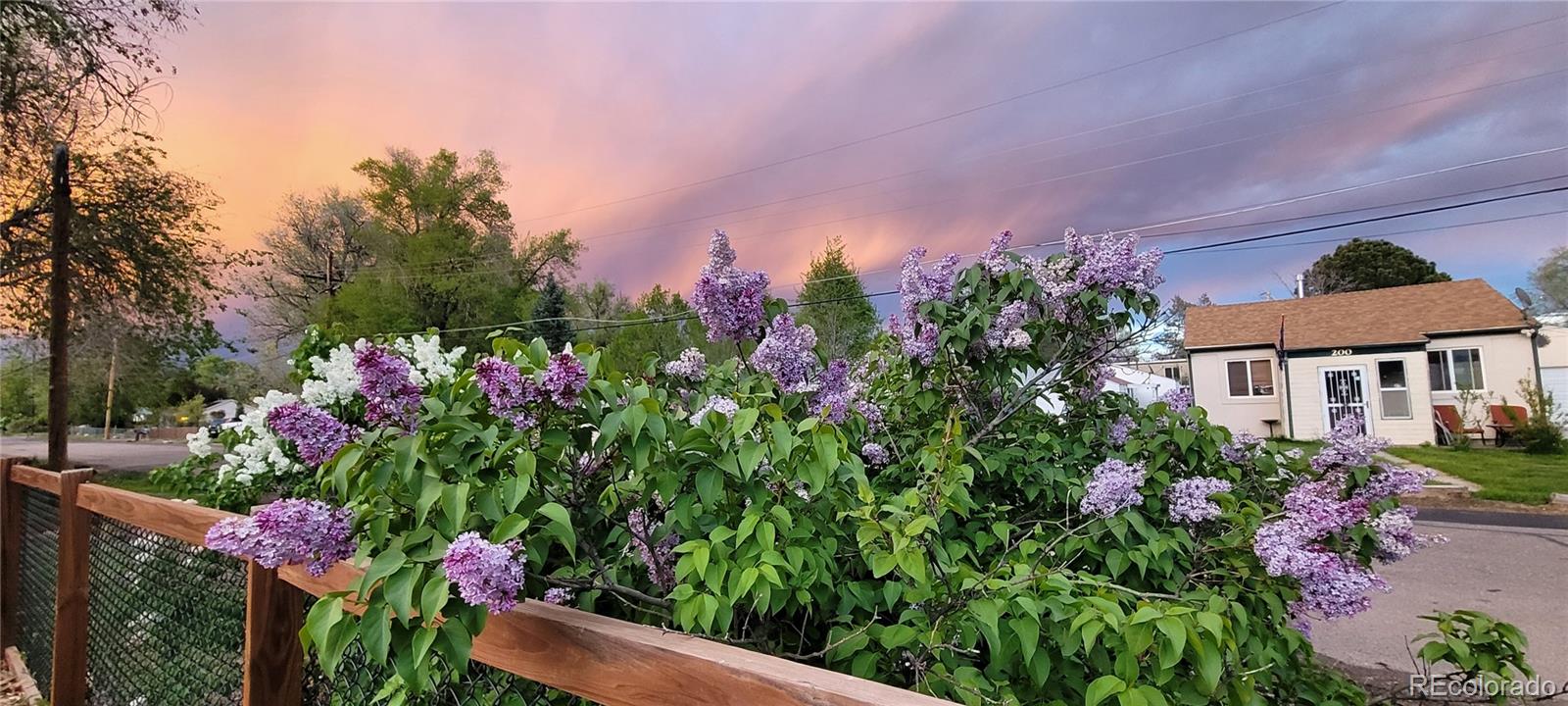 MLS Image #2 for 221  jay street,lakewood, Colorado