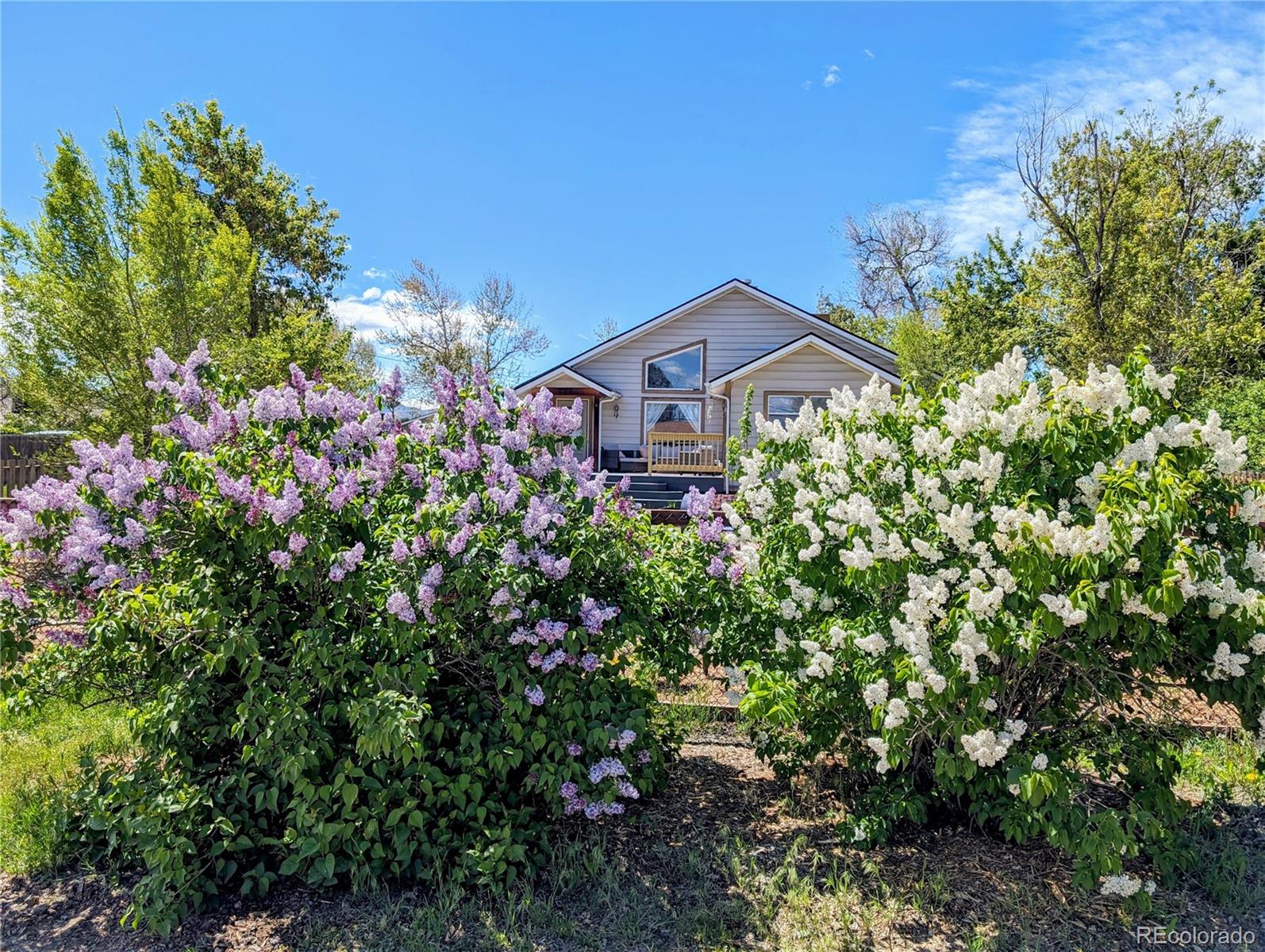 MLS Image #36 for 221  jay street,lakewood, Colorado
