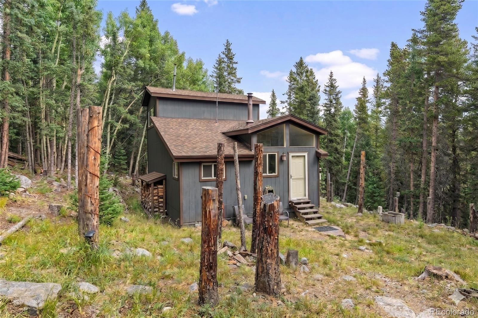 MLS Image #1 for 388  saw mill lane,idaho springs, Colorado