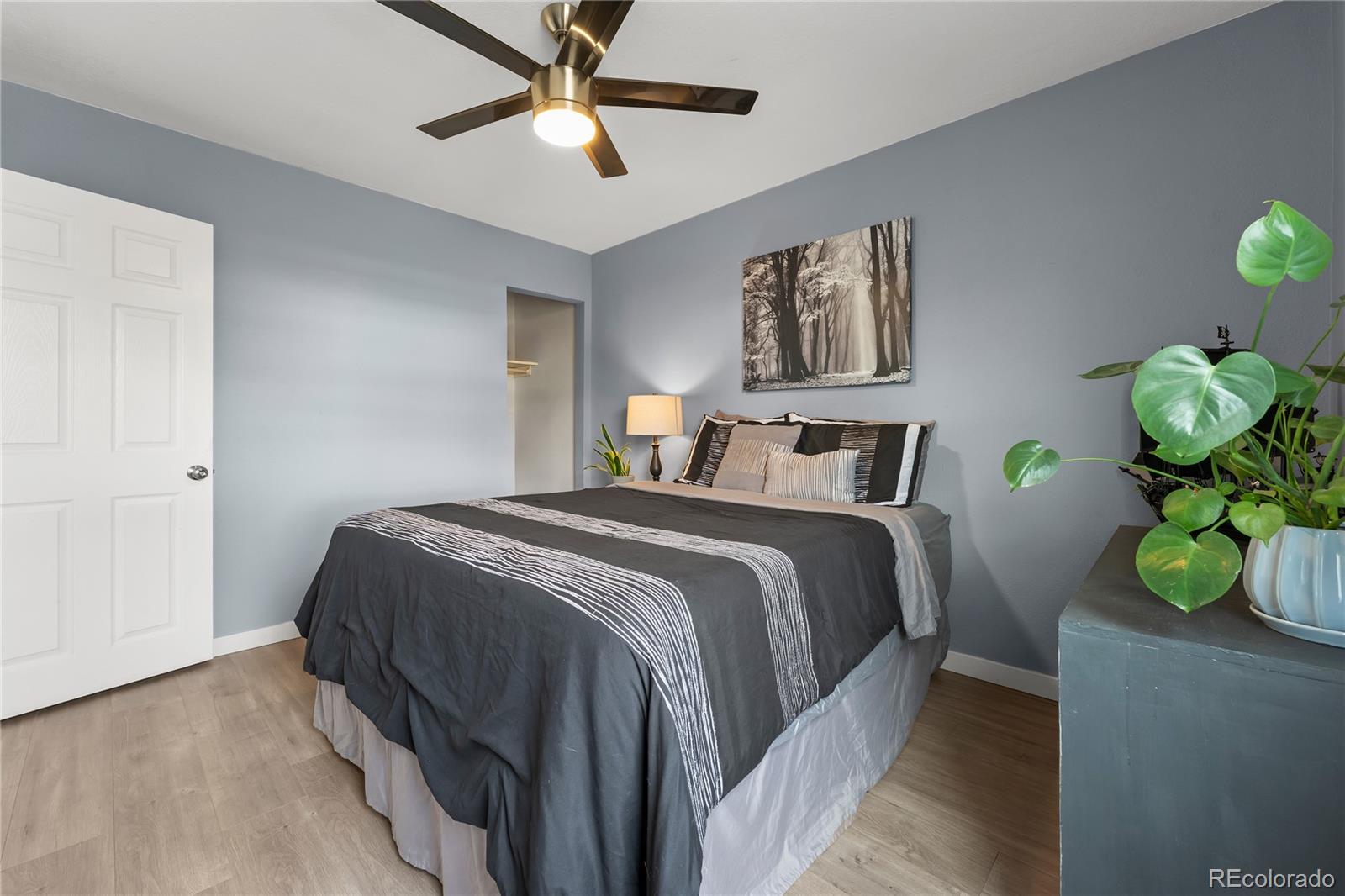 MLS Image #21 for 1960  oakland street,aurora, Colorado