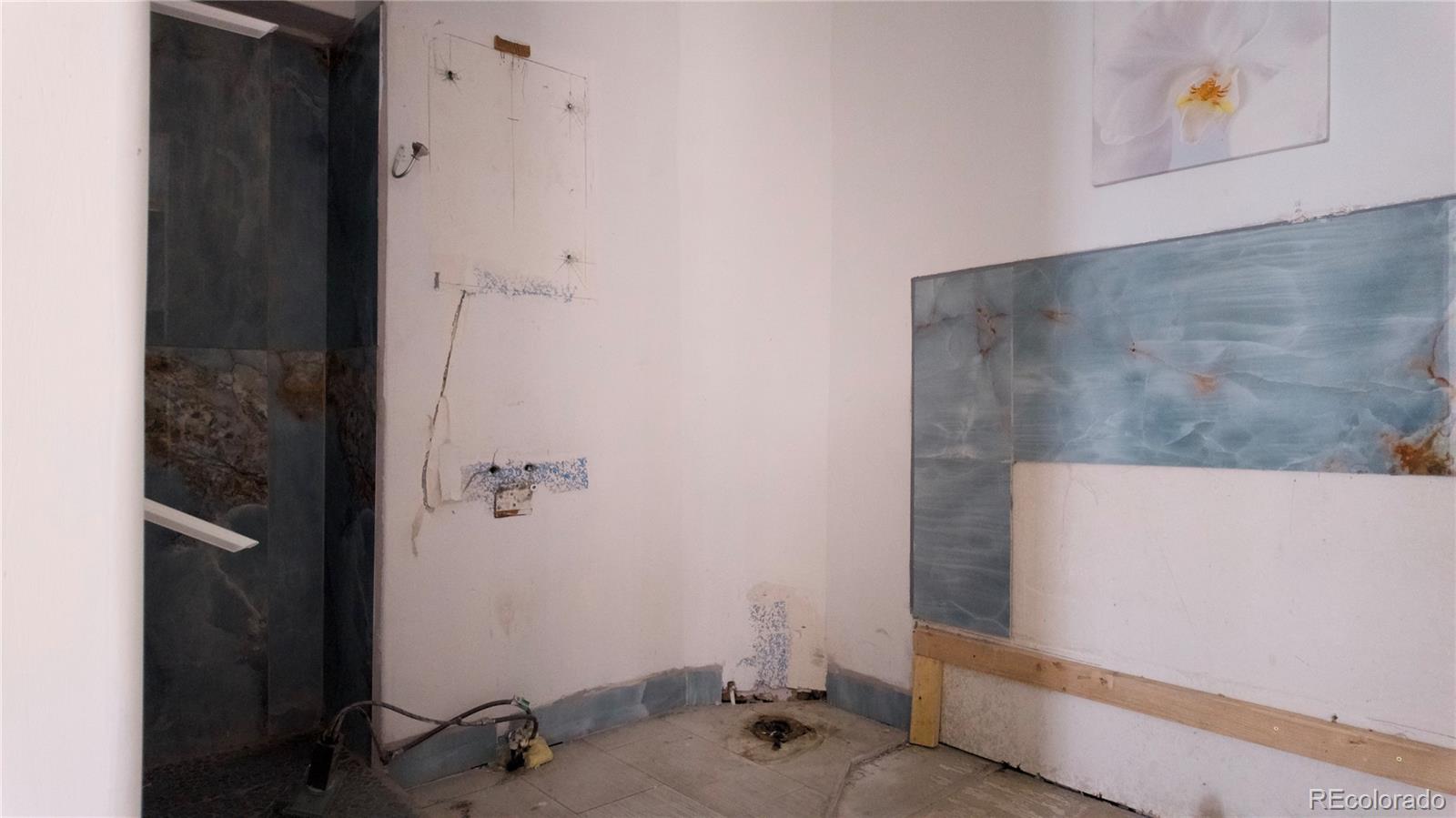 MLS Image #11 for 2120 n broadway ,denver, Colorado