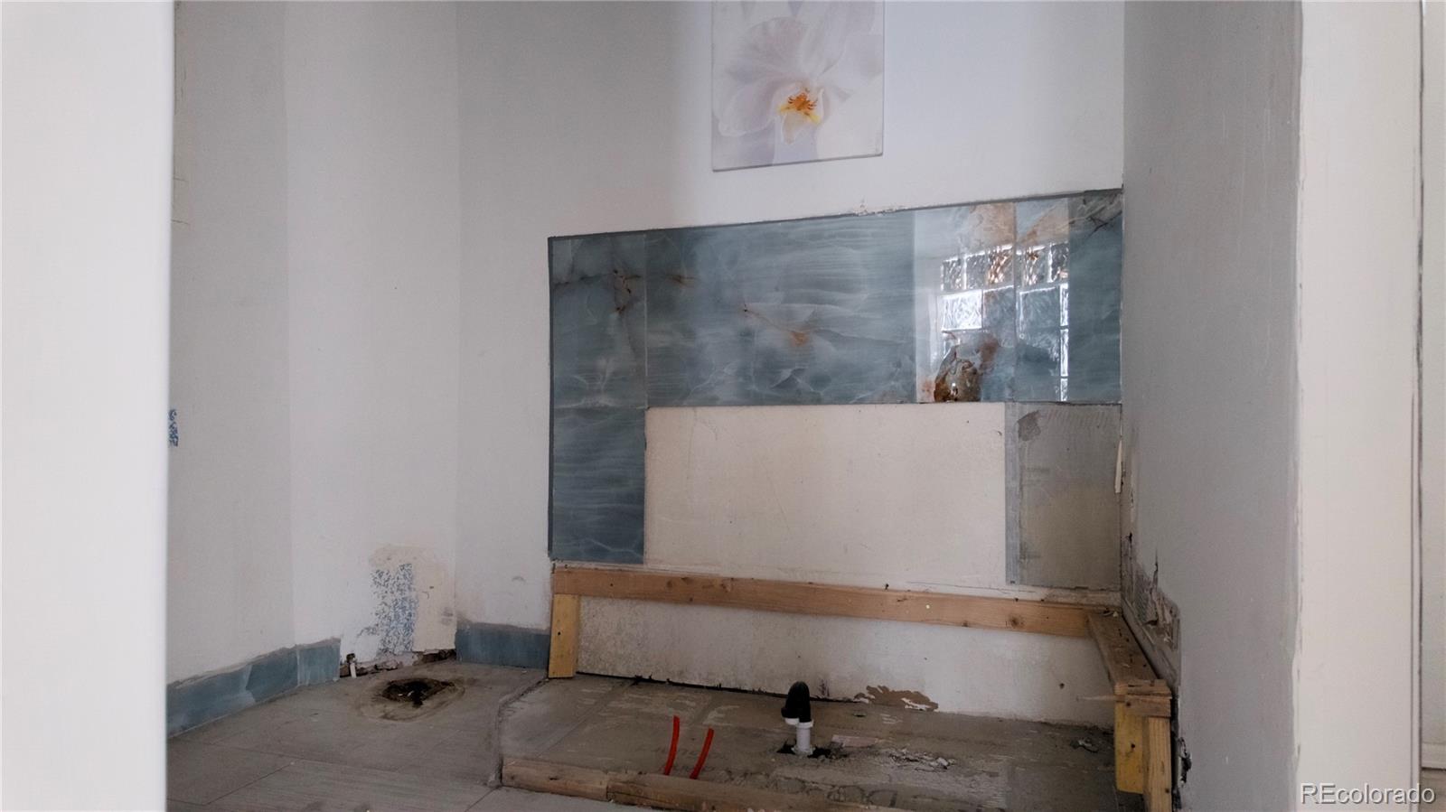 MLS Image #12 for 2120 n broadway ,denver, Colorado